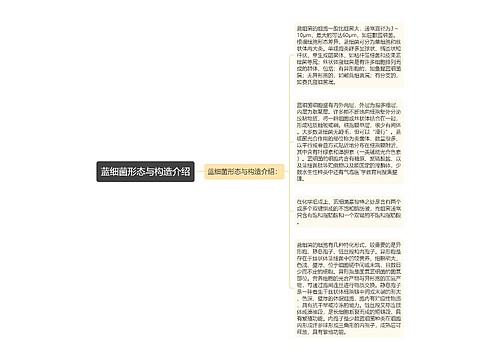 蓝细菌形态与构造介绍