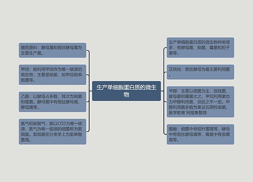 生产单细胞蛋白质的微生物