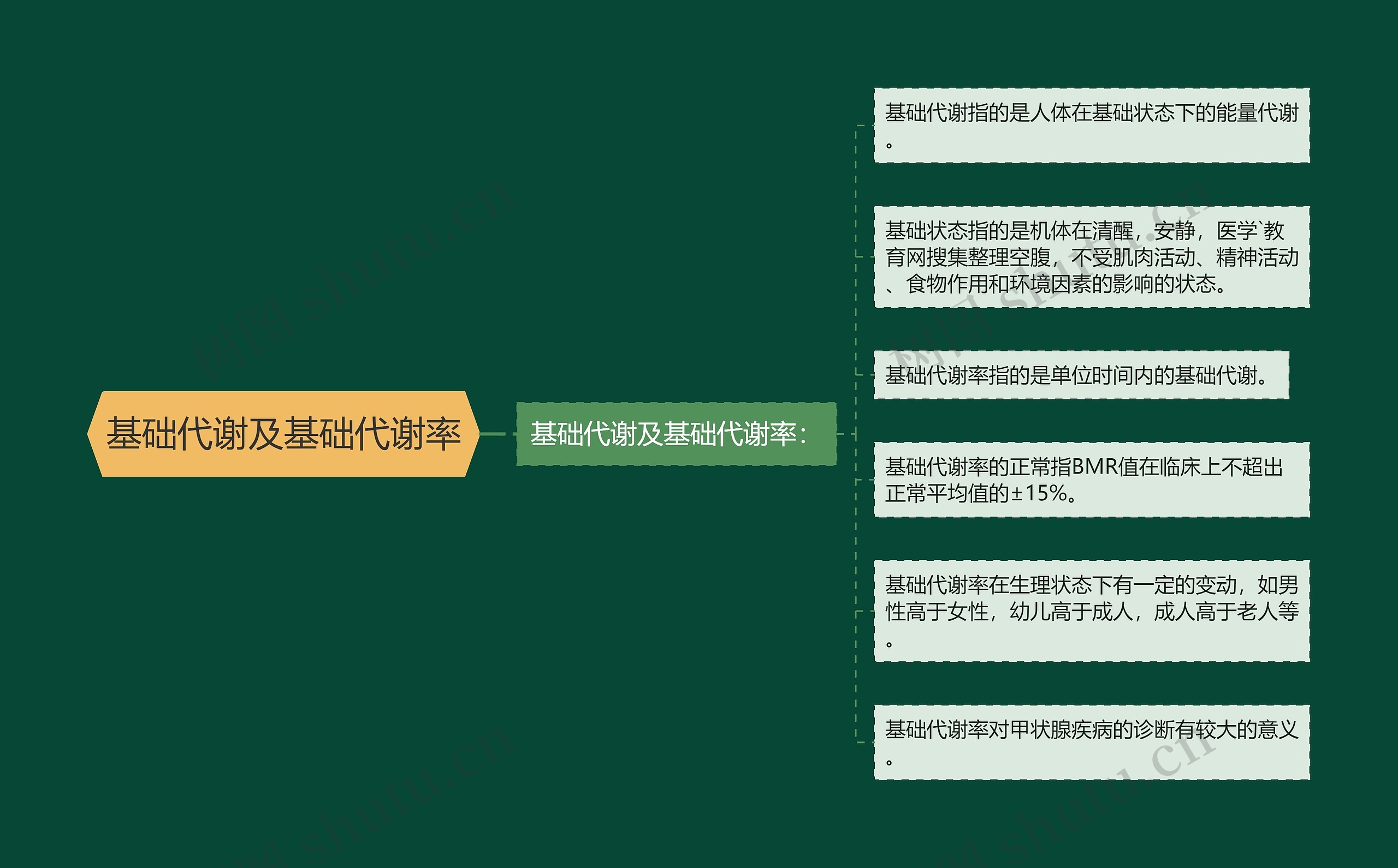 基础代谢及基础代谢率 基础代谢及基础代谢率