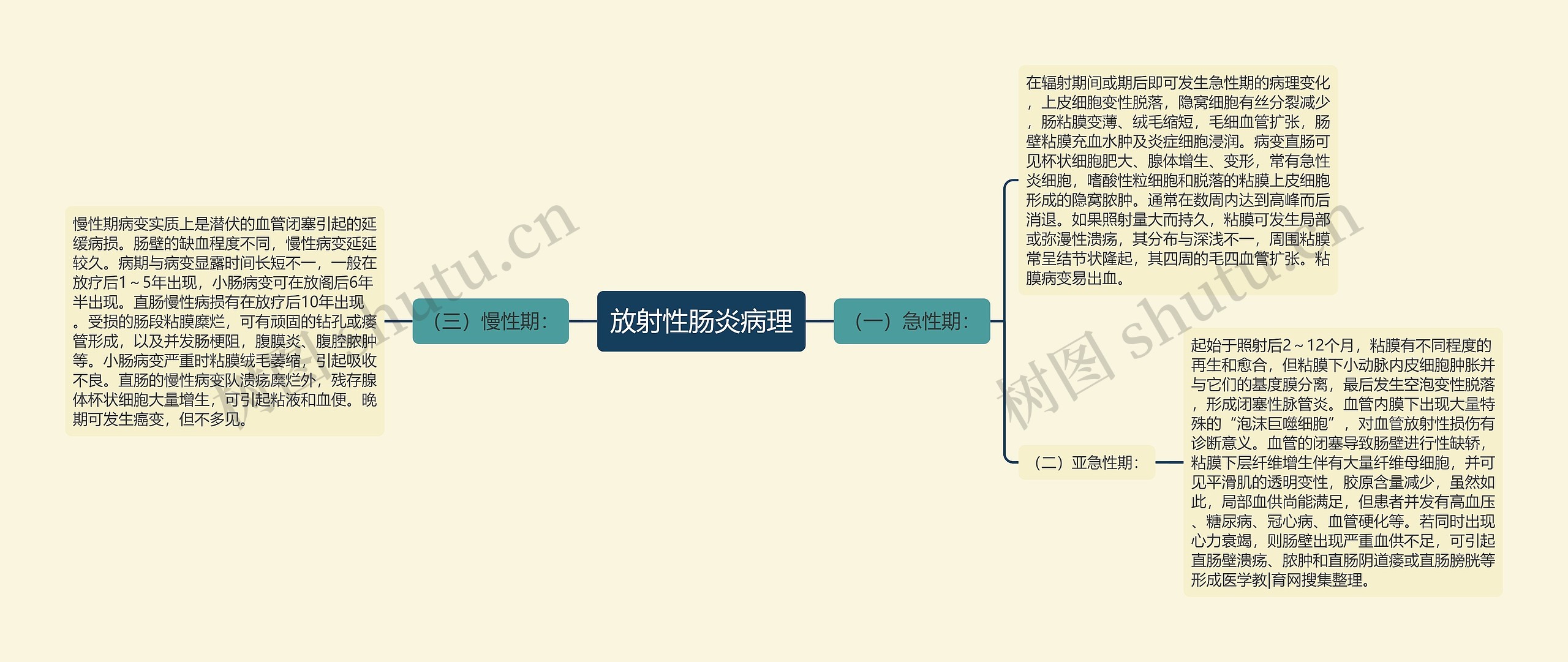 放射性肠炎病理思维导图