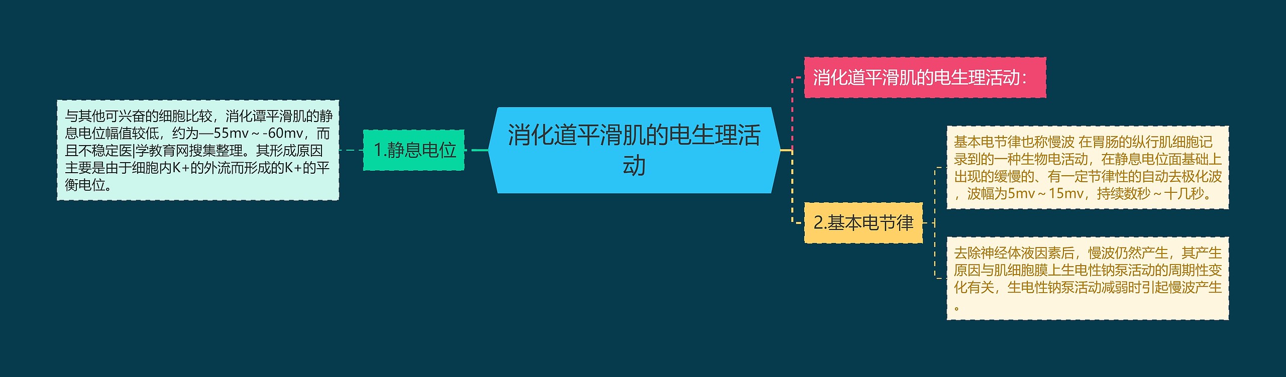 消化道平滑肌的电生理活动思维导图