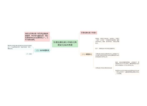 弥漫性膜性肾小球肾炎|病理变化|临床病理