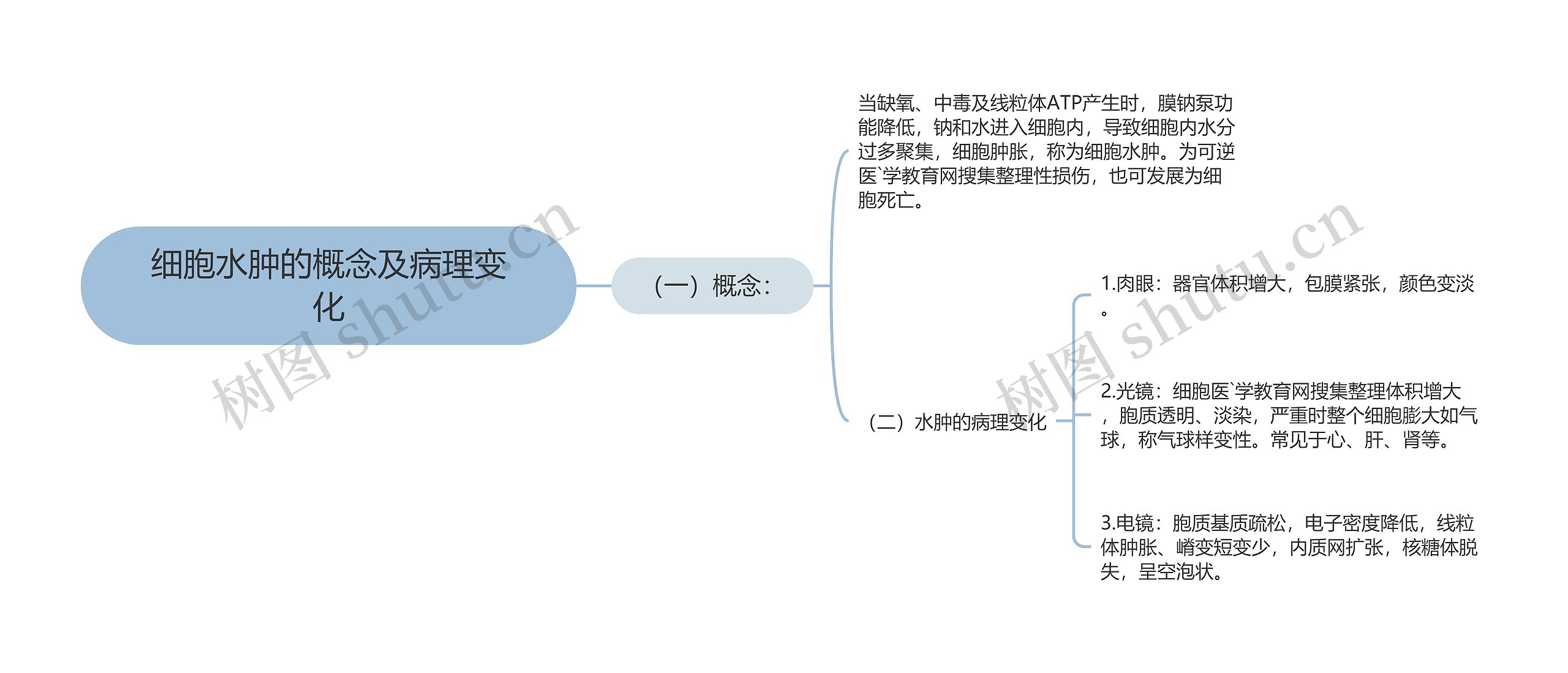 细胞水肿的概念及病理变化