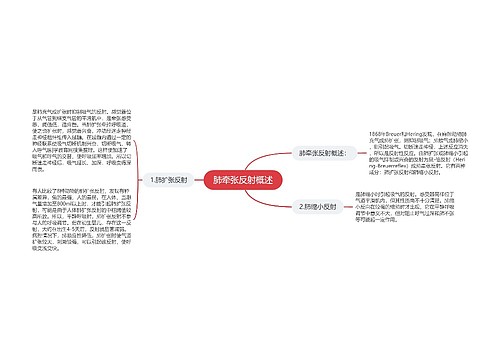 肺牵张反射概述