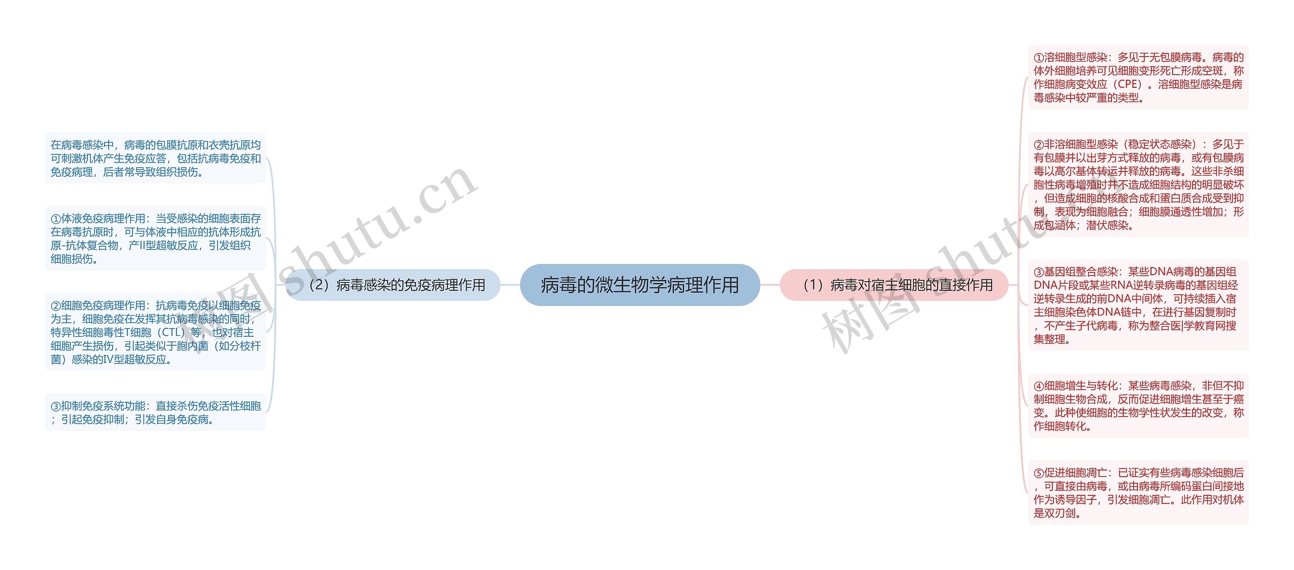 病毒的微生物学病理作用思维导图