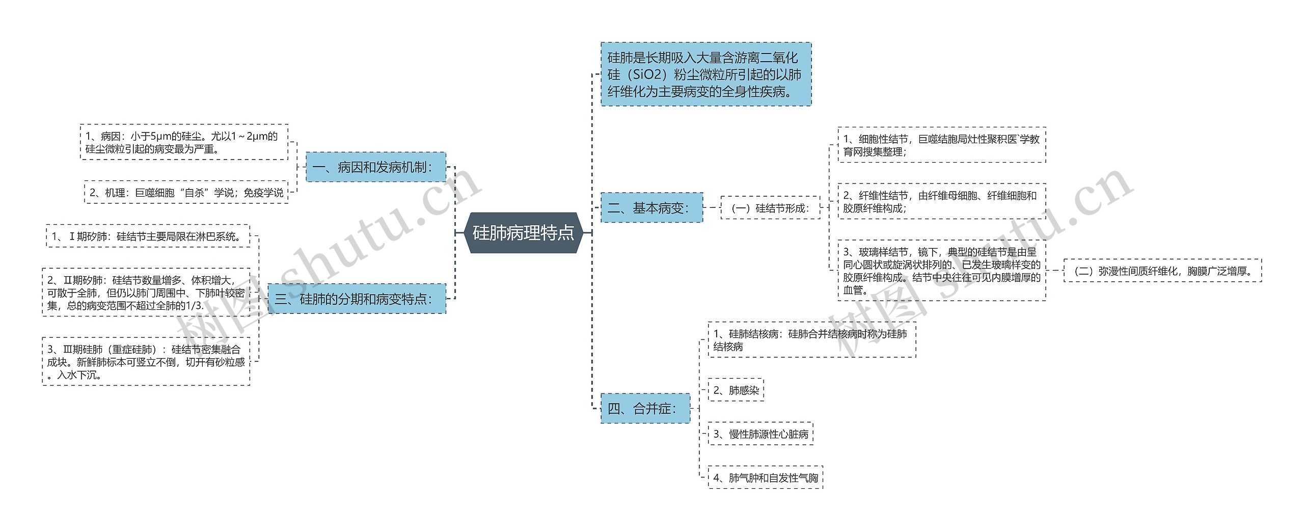 硅肺病理特点