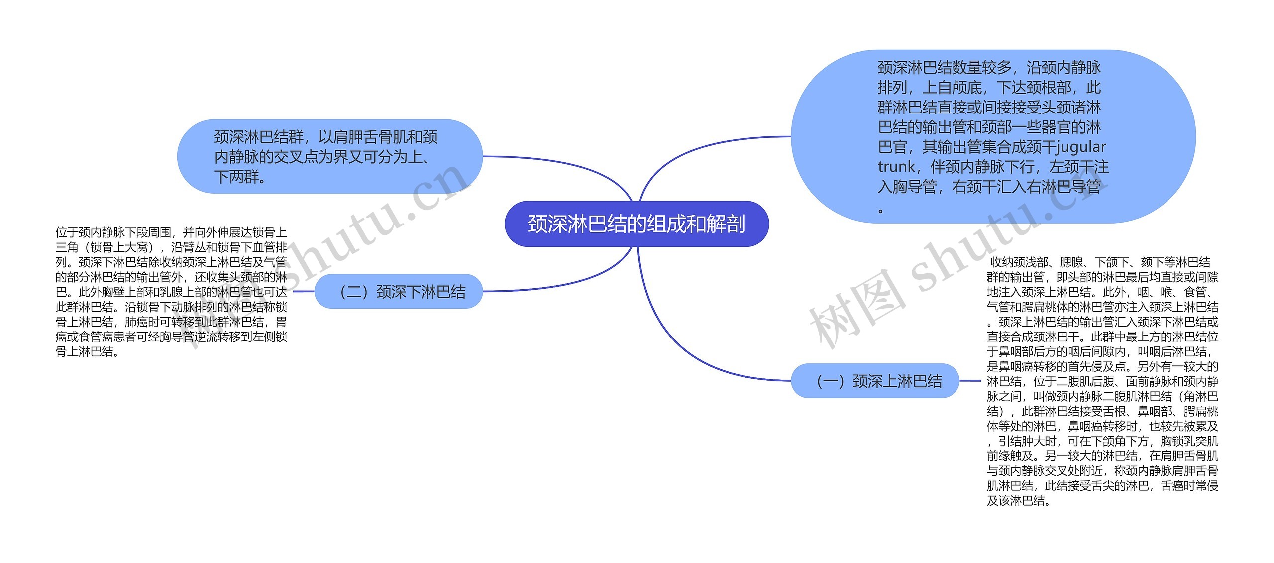 颈深淋巴结的组成和解剖思维导图