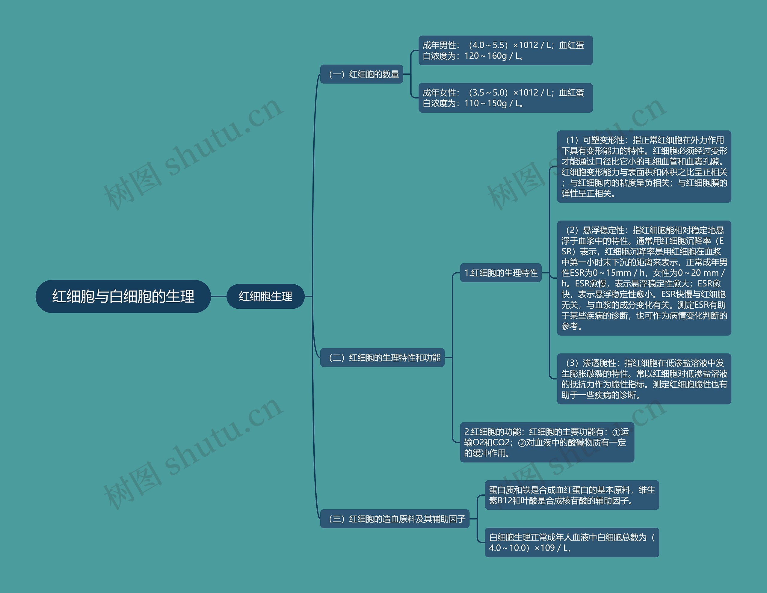 红细胞与白细胞的生理 红细胞与白细胞的生理
