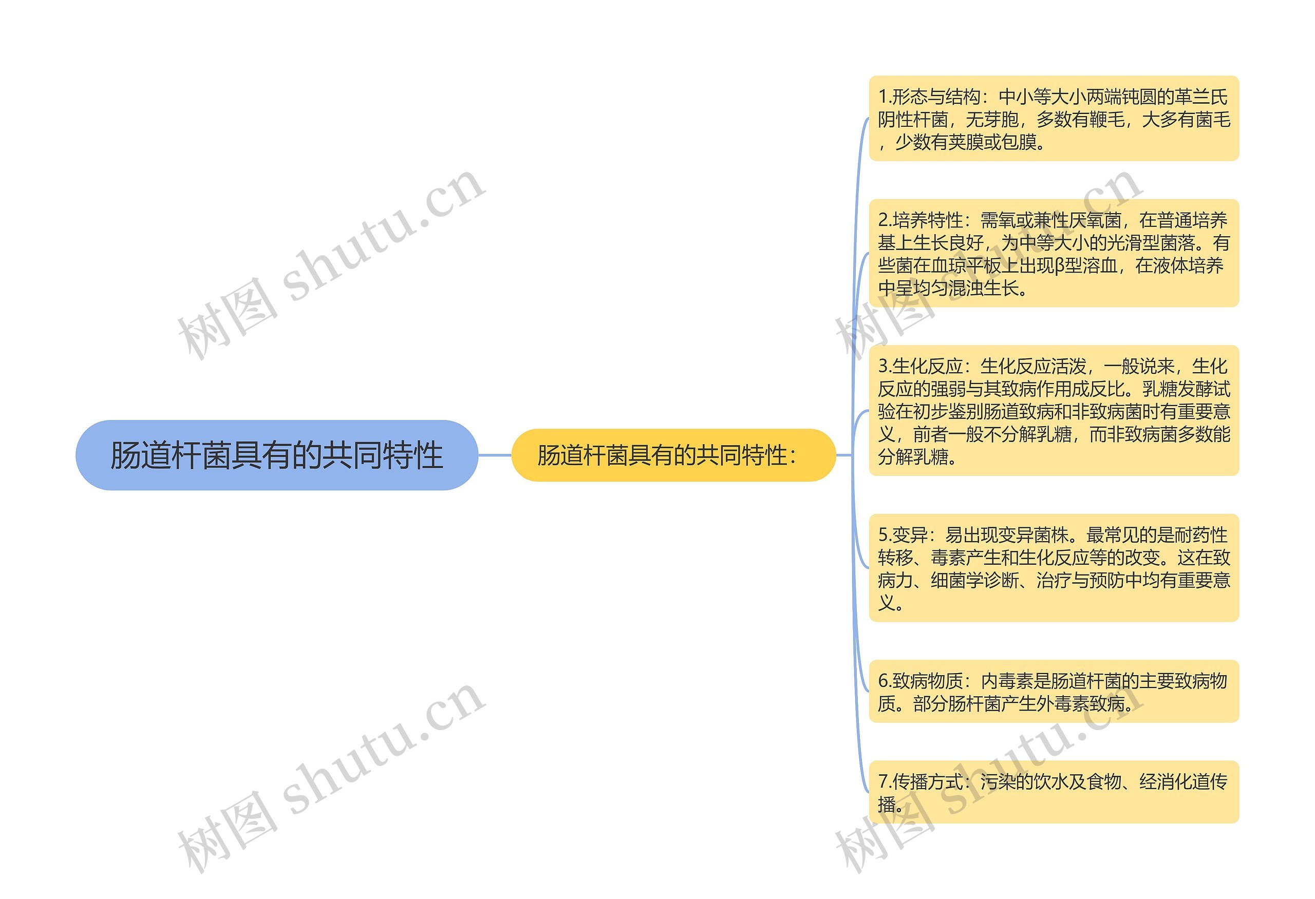 肠道杆菌具有的共同特性思维导图