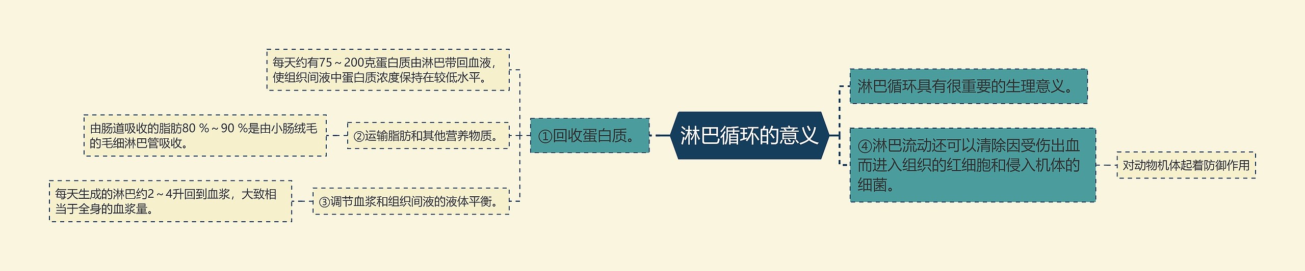 淋巴循环的意义 淋巴循环的意义
