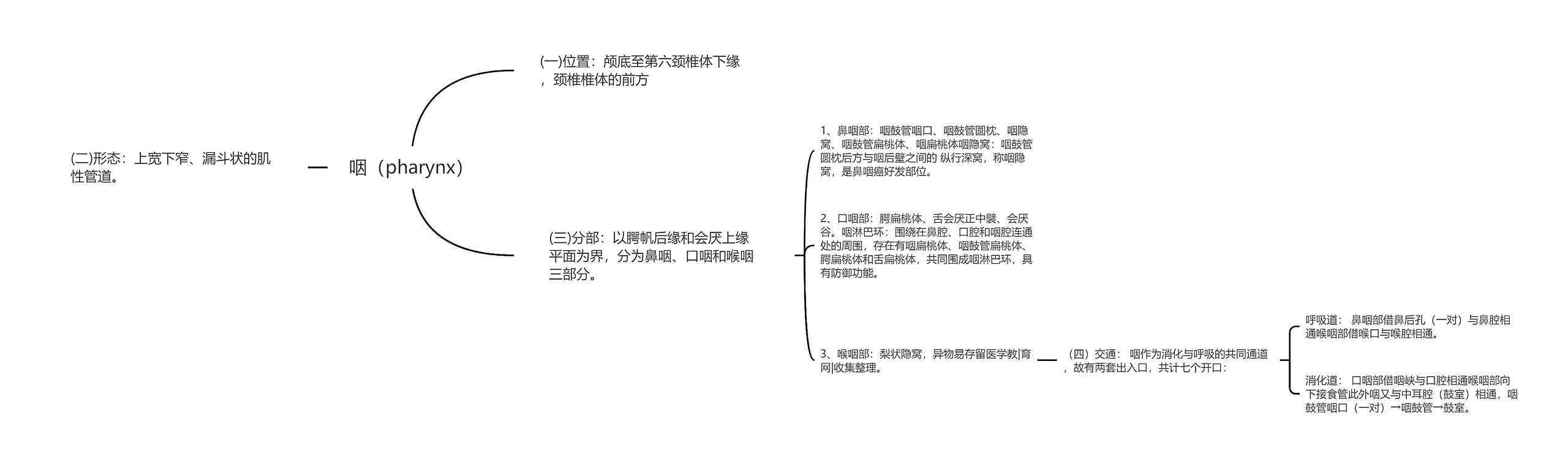 咽（pharynx）思维导图