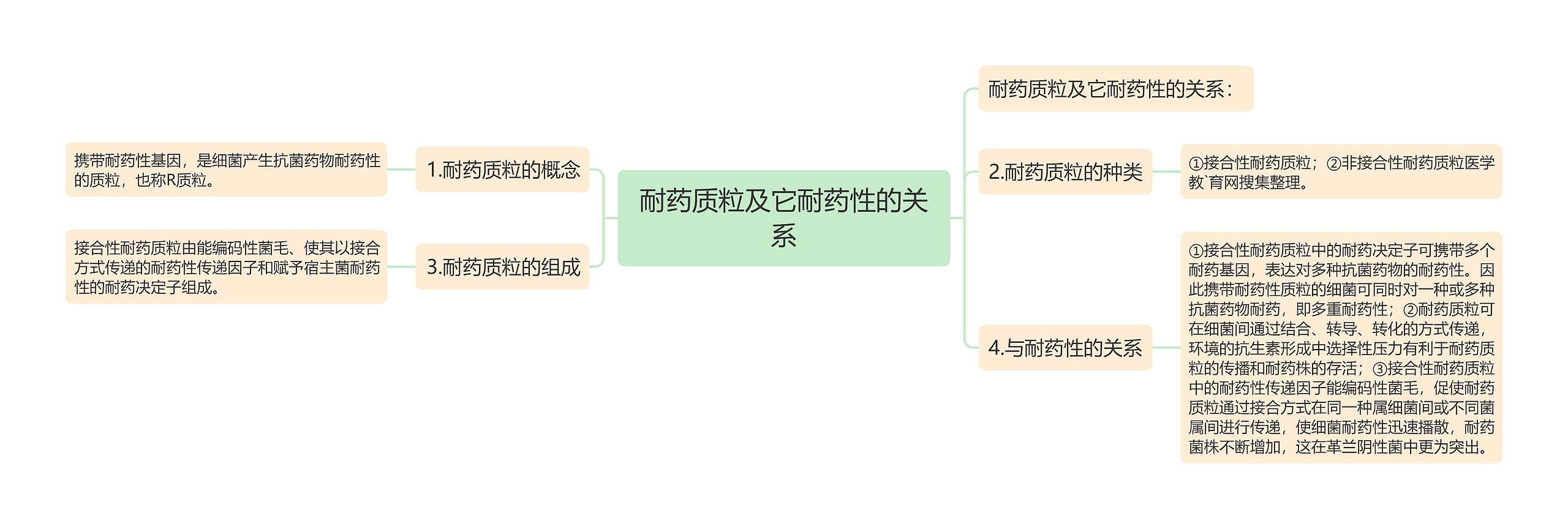 耐药质粒及它耐药性的关系思维导图