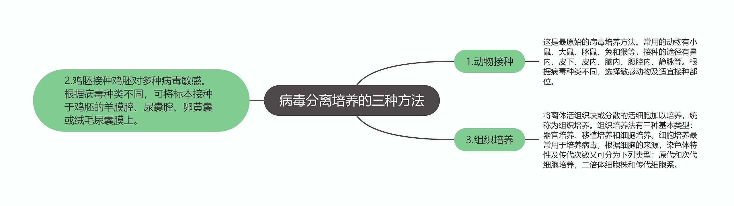 病毒分离培养的三种方法思维导图