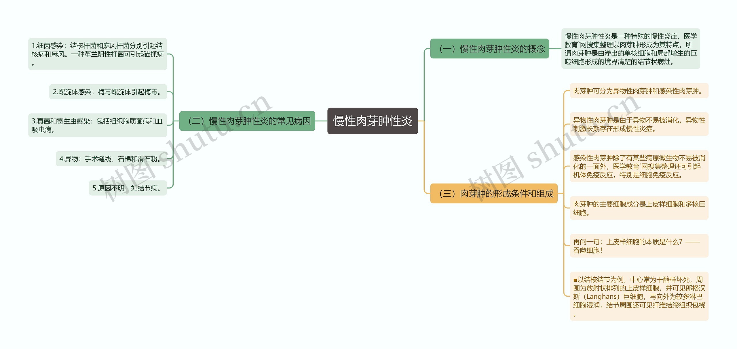 慢性肉芽肿性炎思维导图