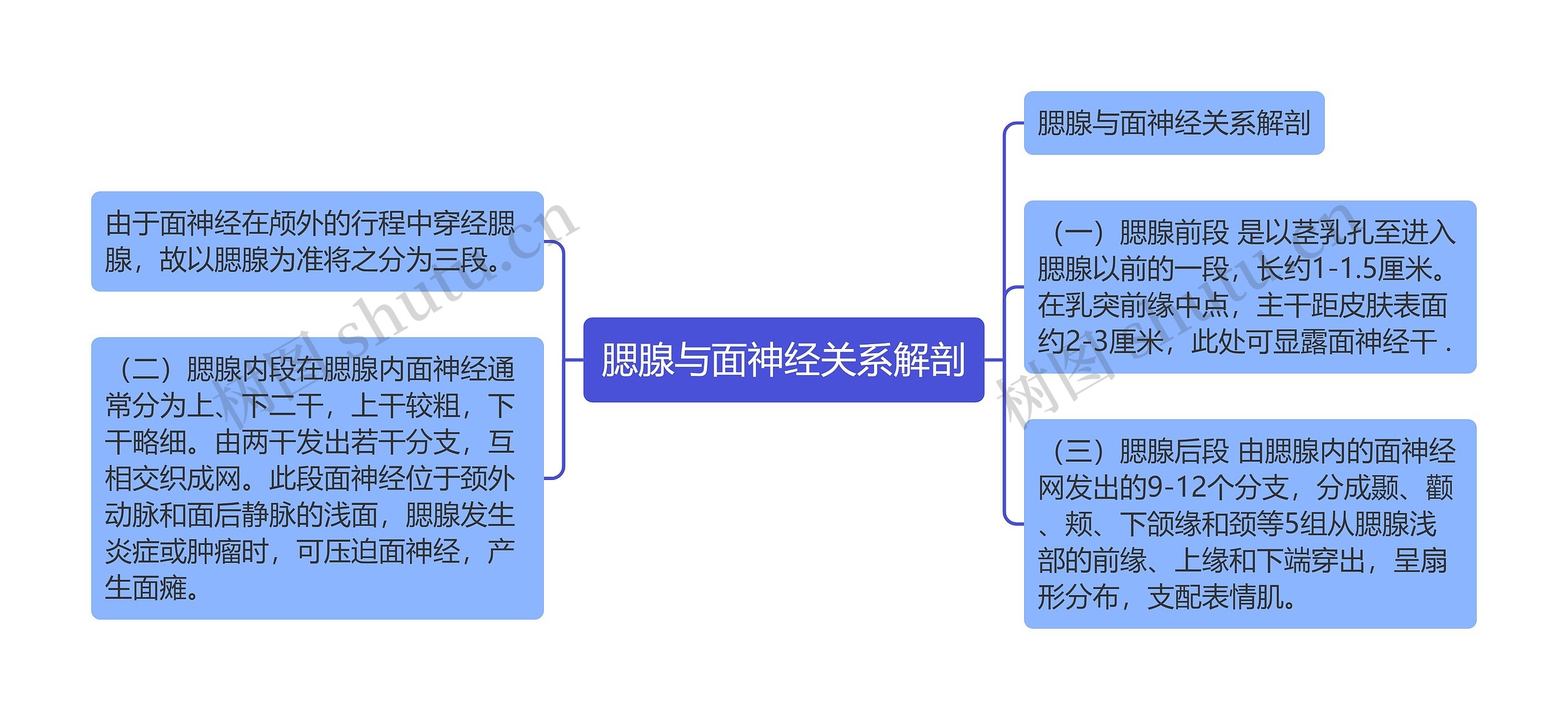 腮腺与面神经关系解剖思维导图