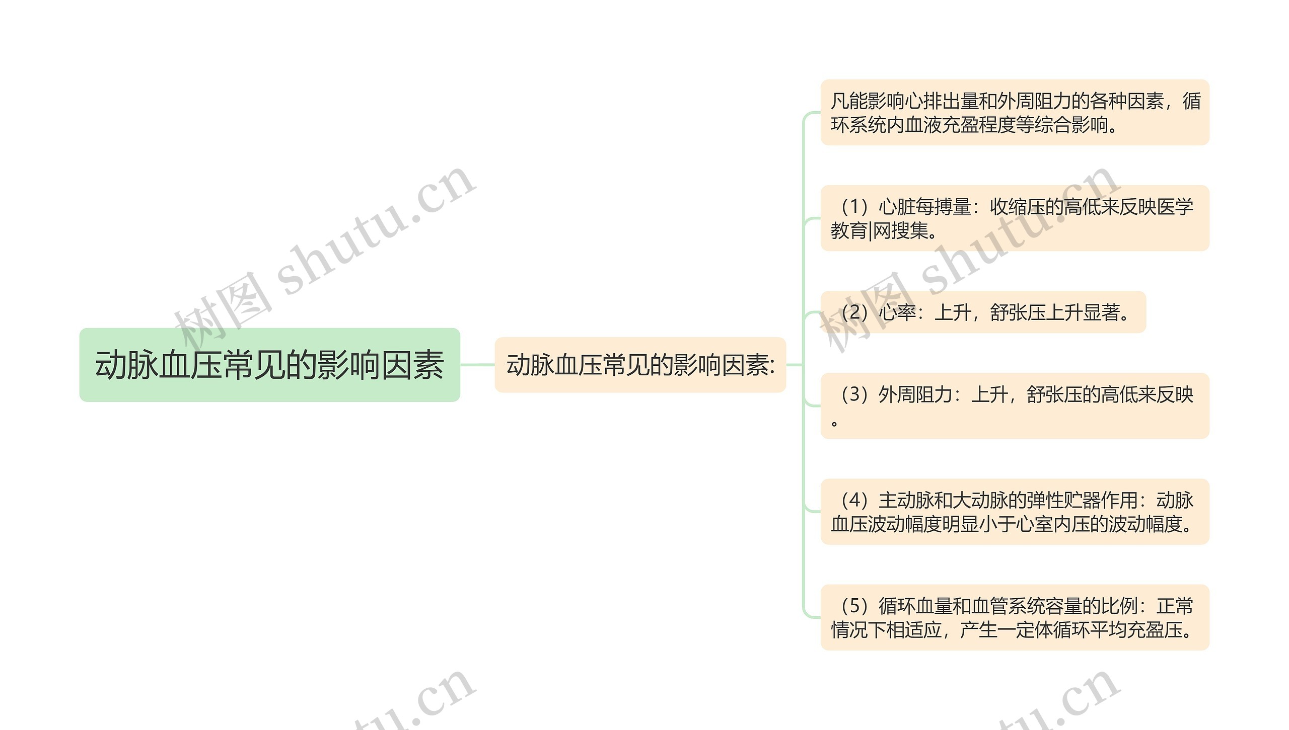 动脉血压常见的影响因素 动脉血压常见的影响因素