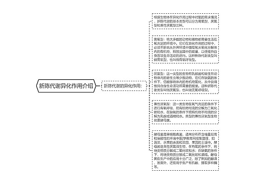 新陈代谢异化作用介绍