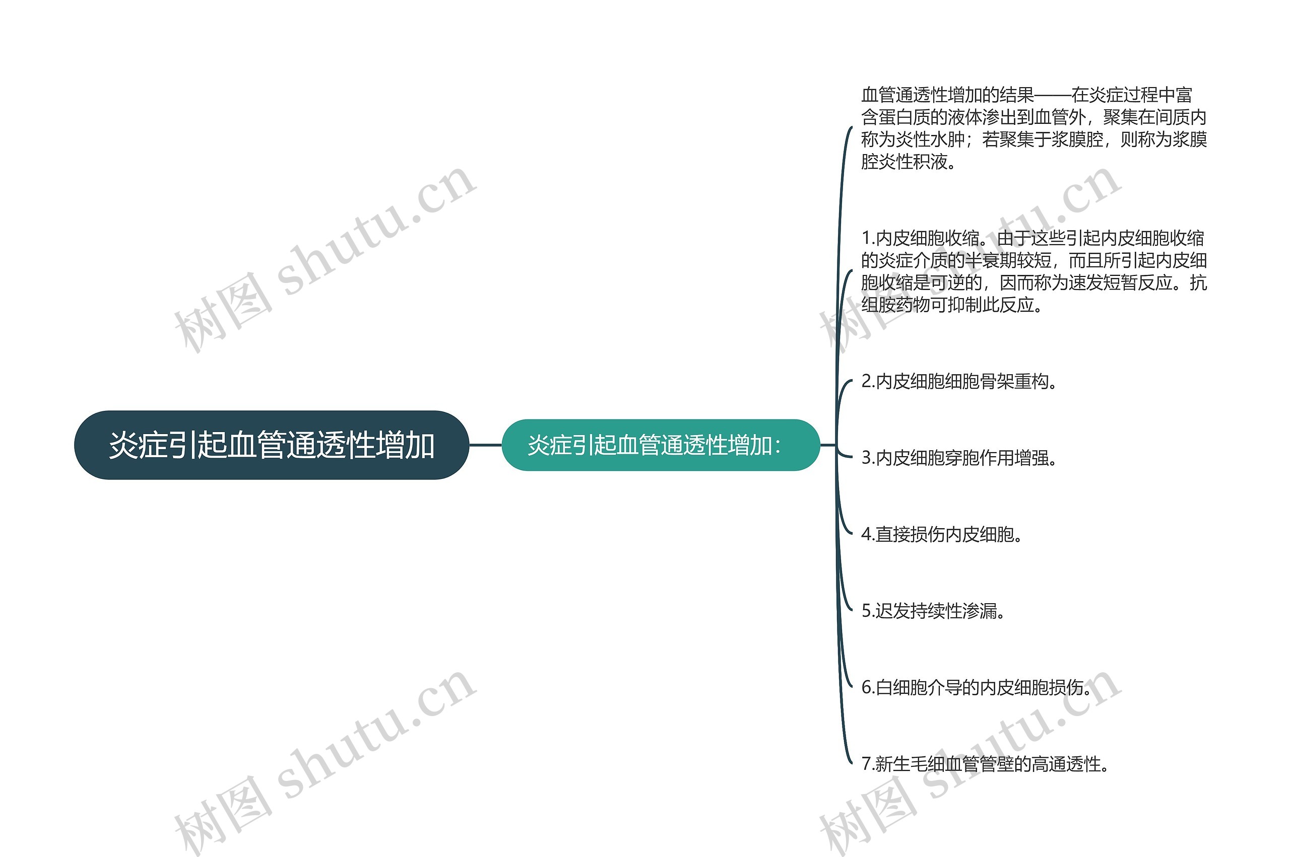 炎症引起血管通透性增加思维导图