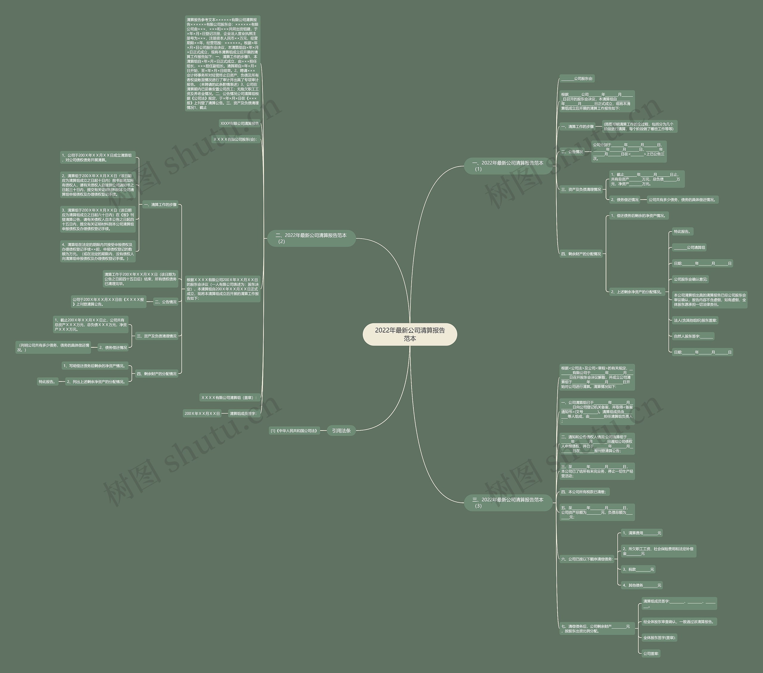 2022年最新公司清算报告范本思维导图