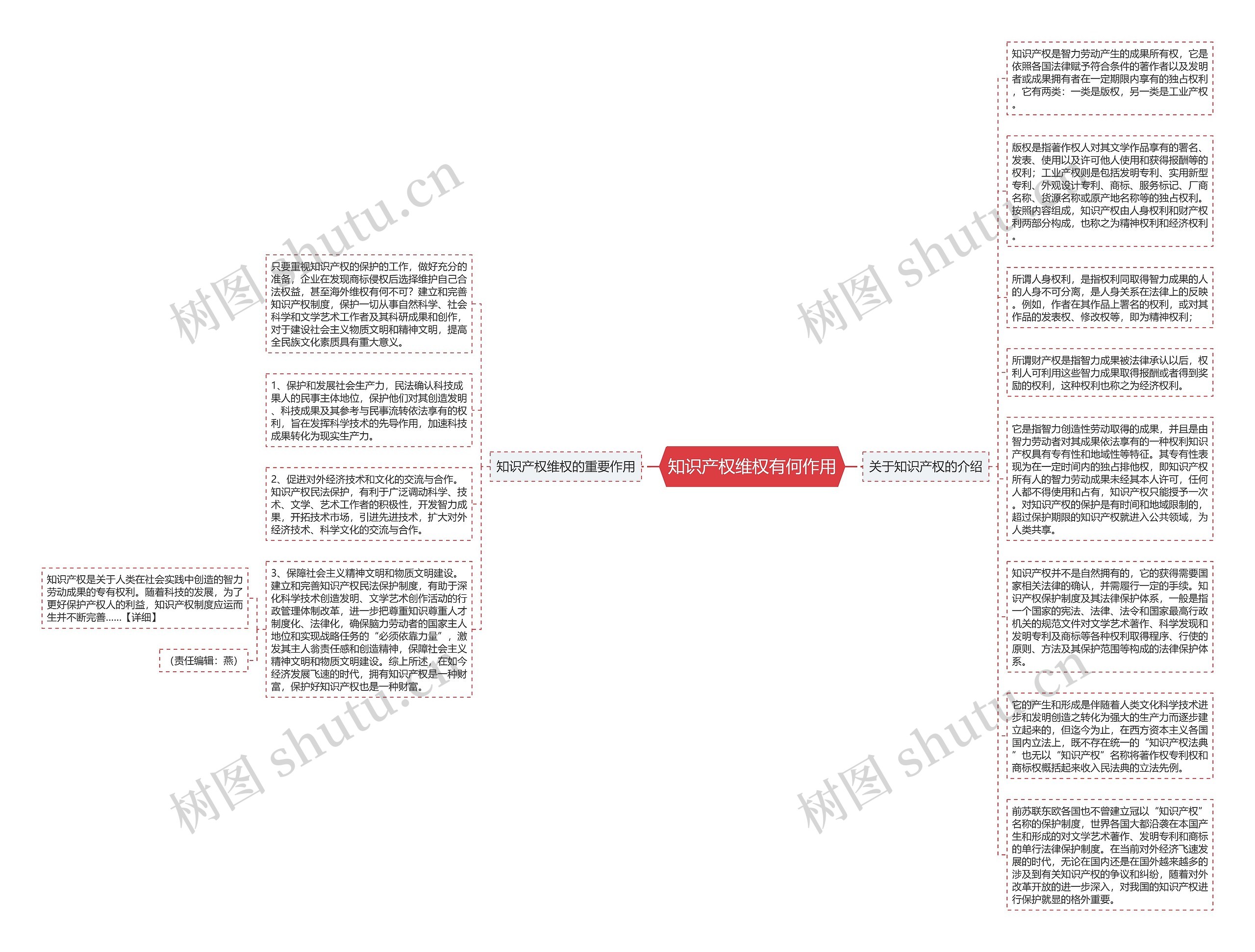 知识产权维权有何作用思维导图