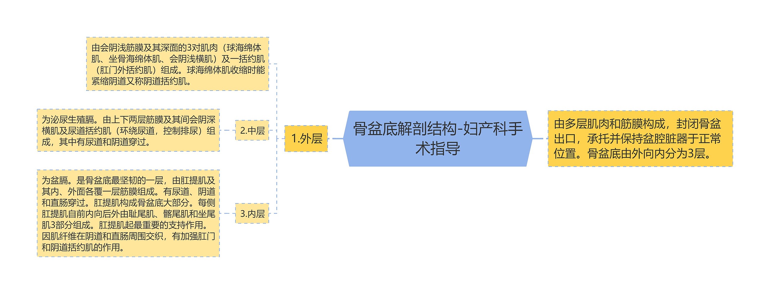 骨盆底解剖结构-妇产科手术指导 骨盆底解剖结构-妇产科手术指导