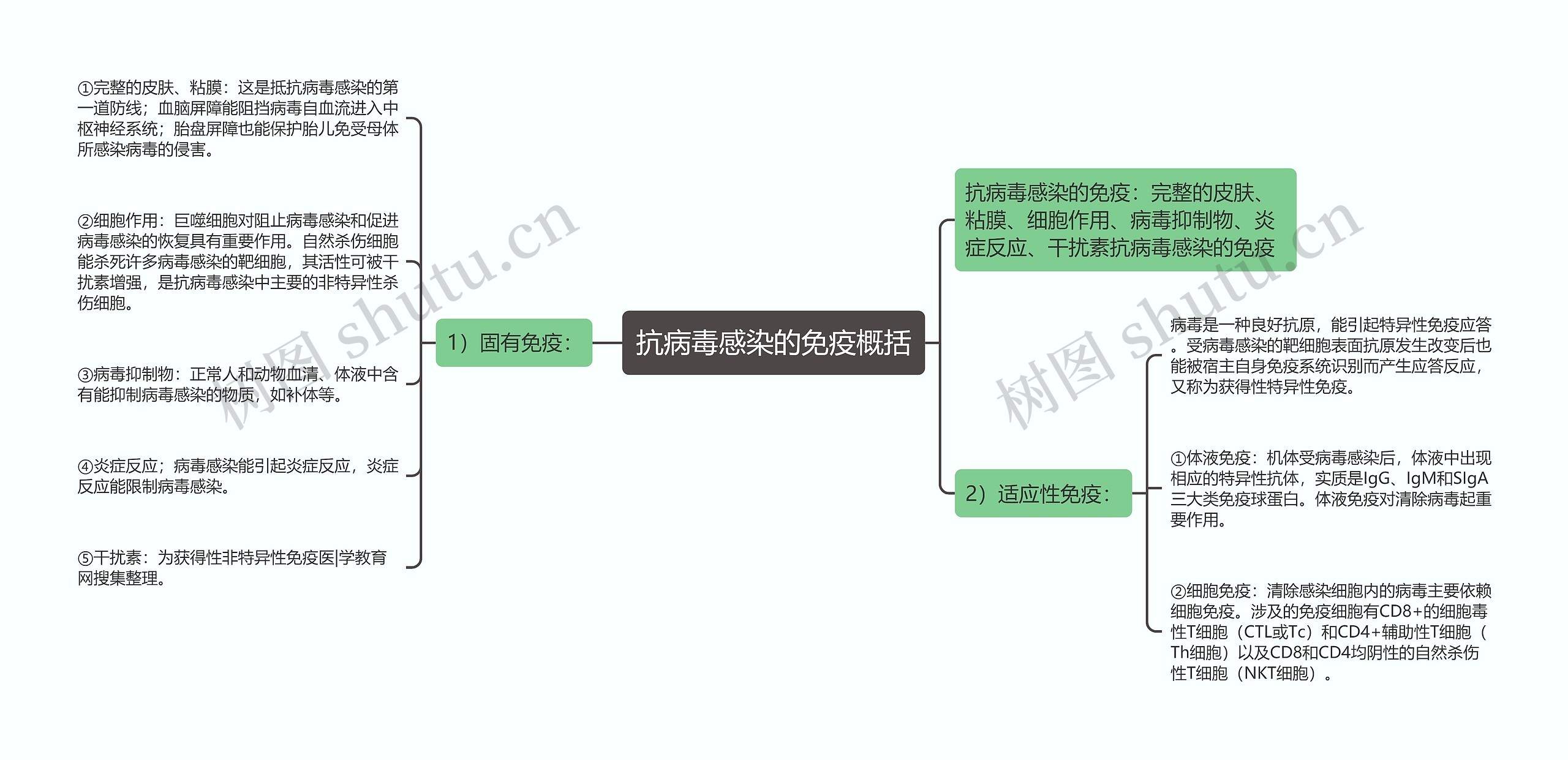 抗病毒感染的免疫概括