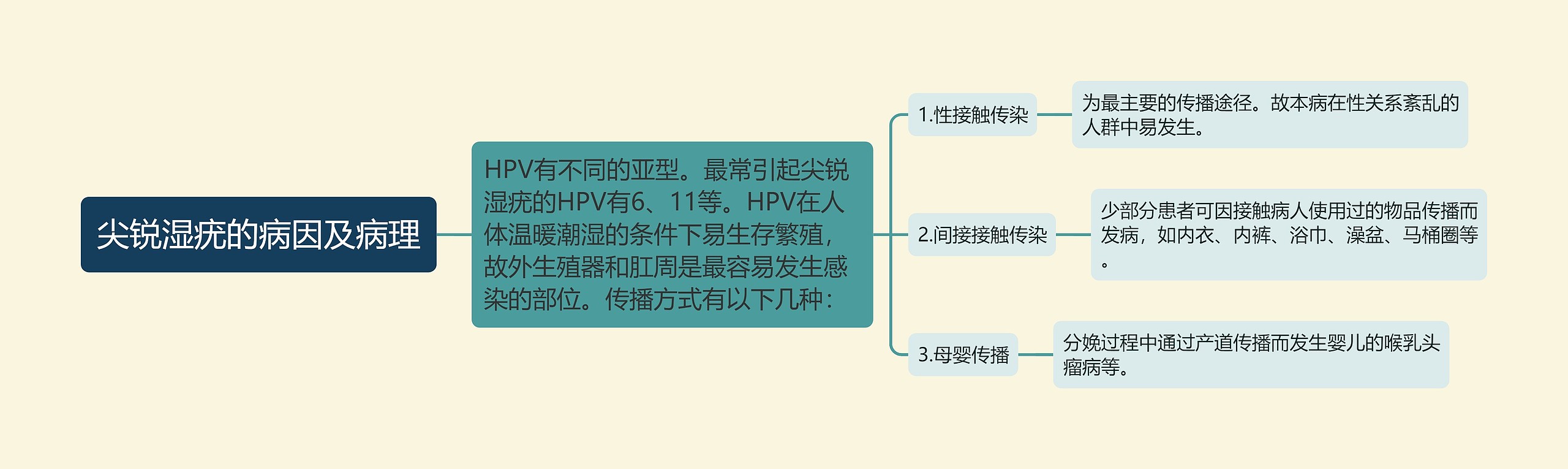 尖锐湿疣的病因及病理思维导图