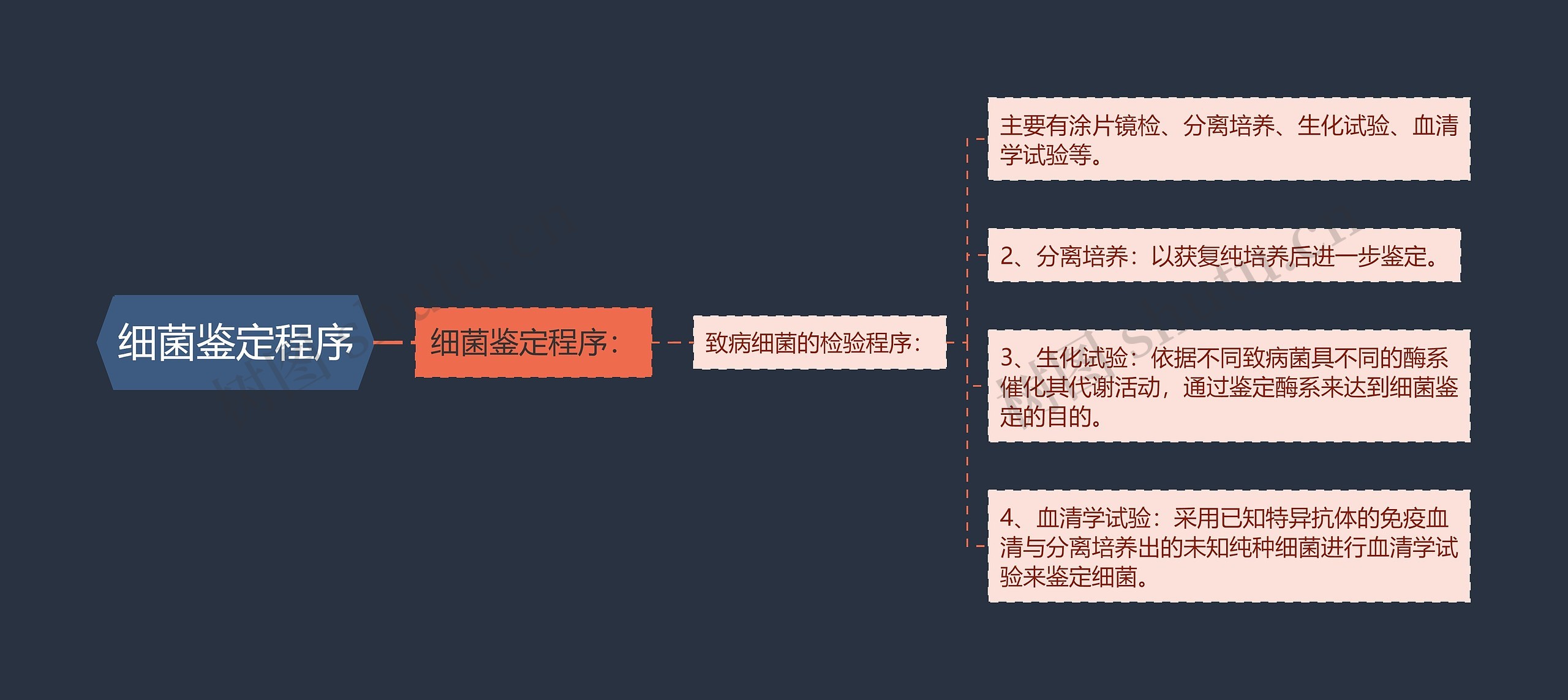 细菌鉴定程序思维导图