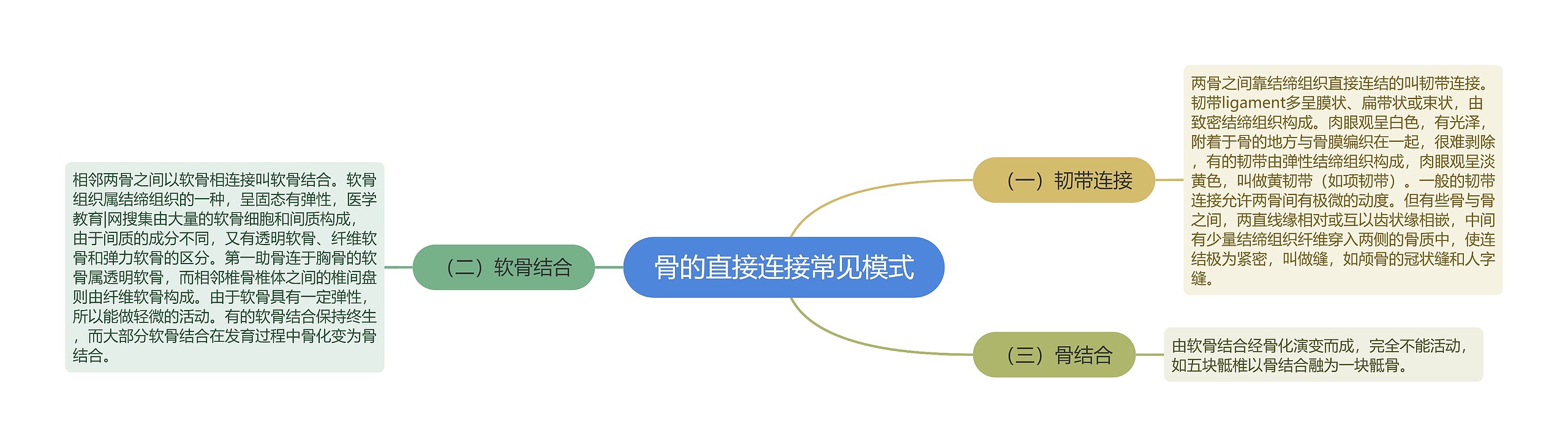 骨的直接连接常见模式思维导图