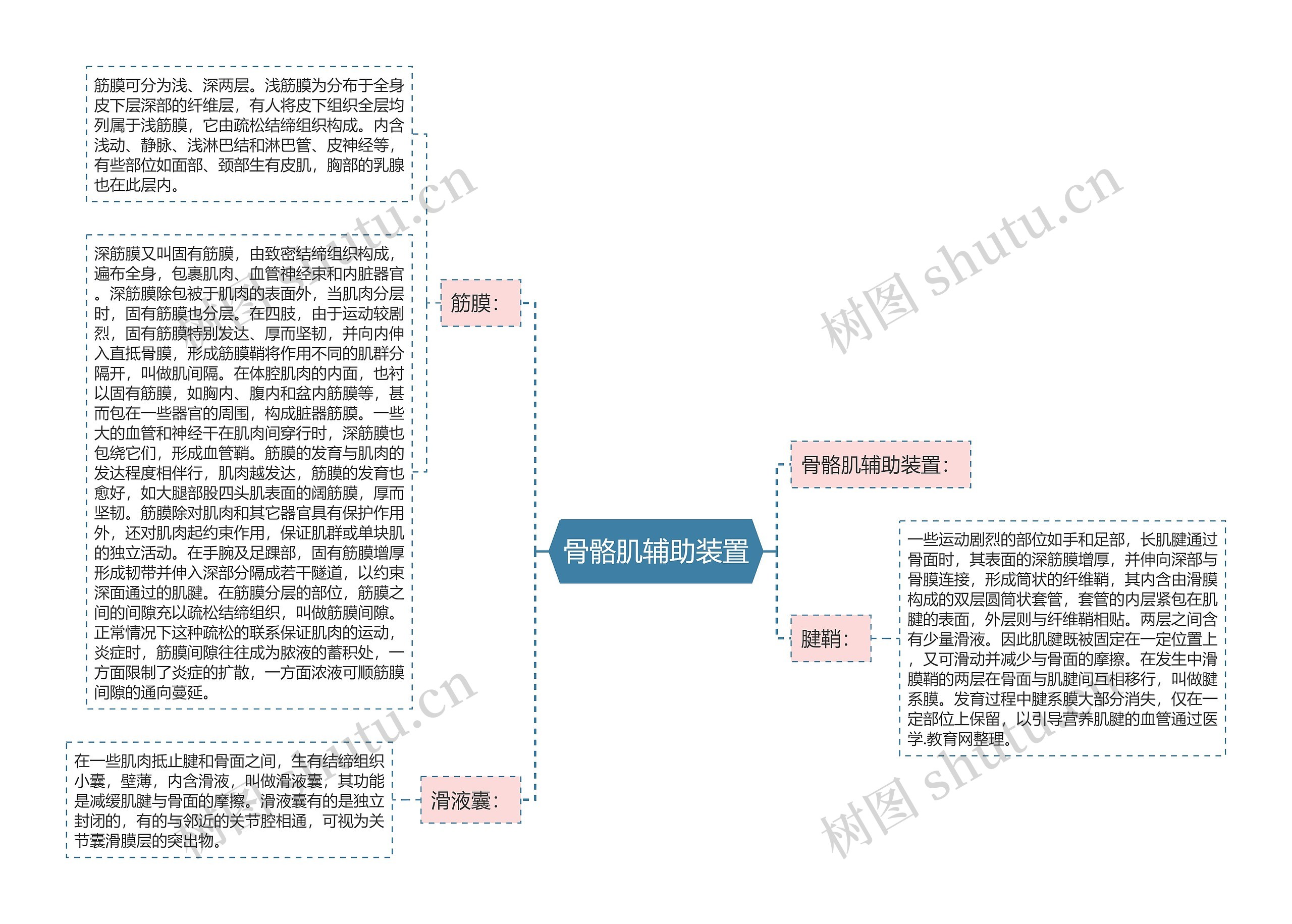 骨骼肌辅助装置思维导图高清图 骨骼肌辅助装置思维导图