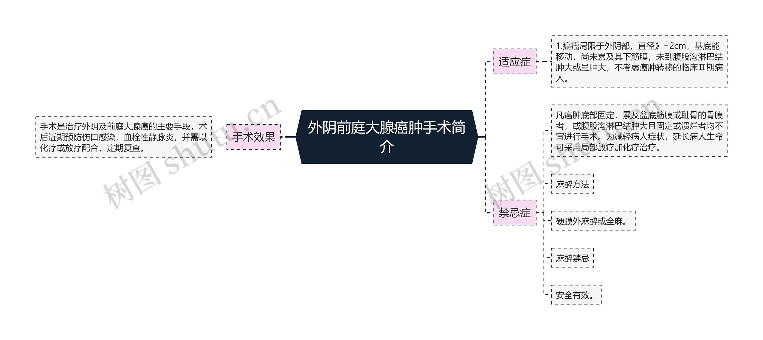 外阴前庭大腺癌肿手术简介