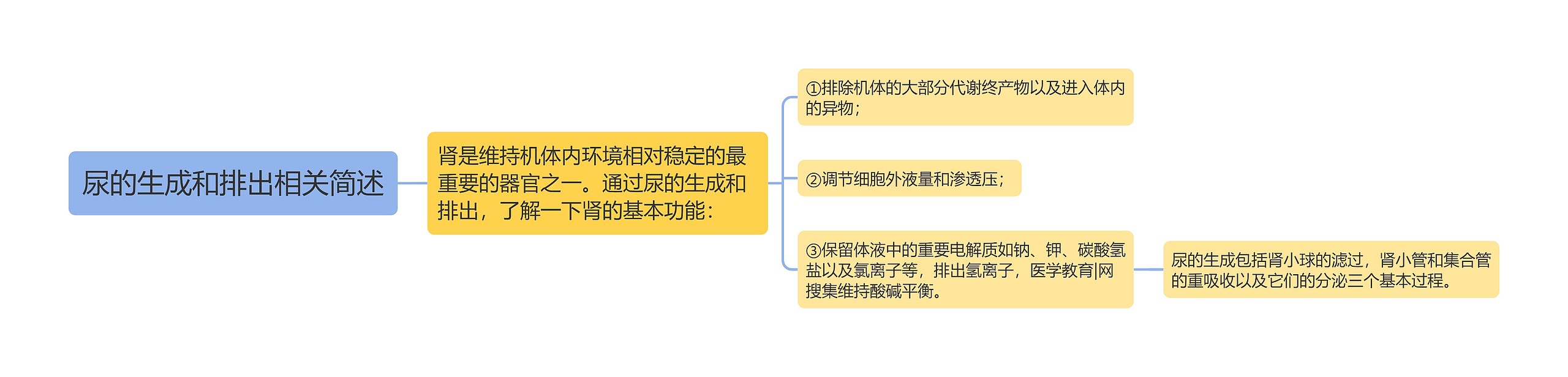 尿的生成和排出相关简述 尿的生成和排出相关简述