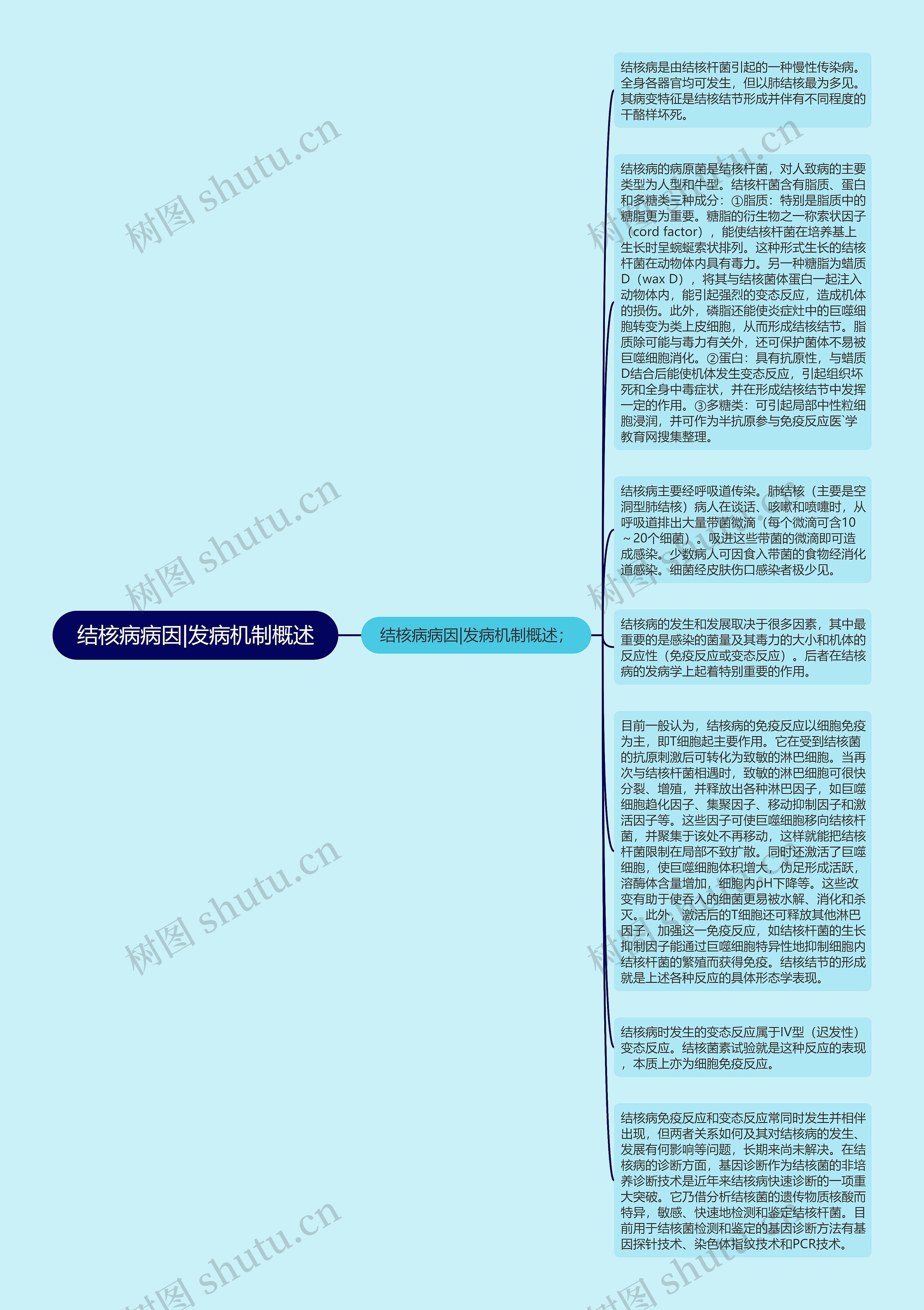 结核病病因|发病机制概述