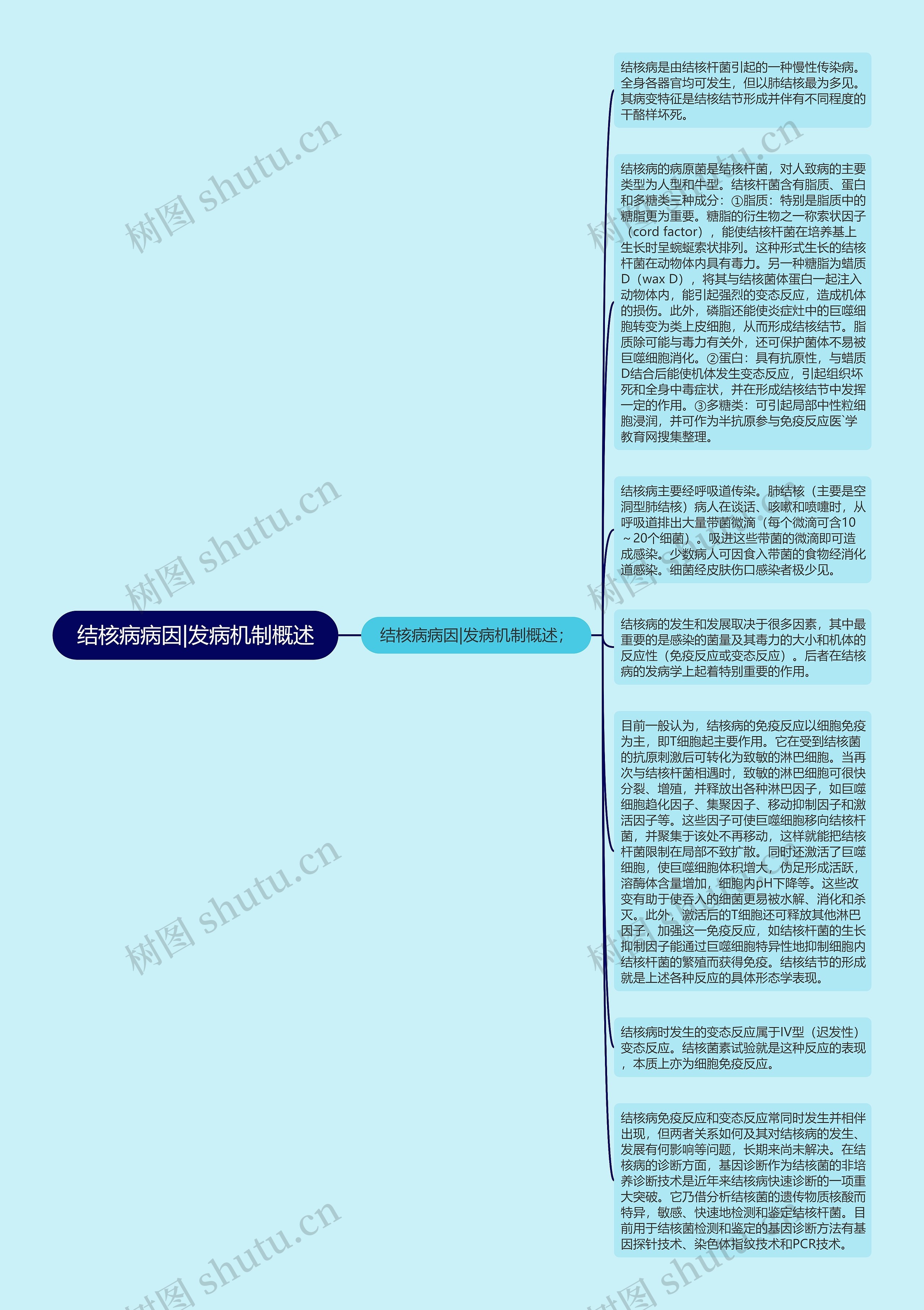 结核病病因|发病机制概述思维导图