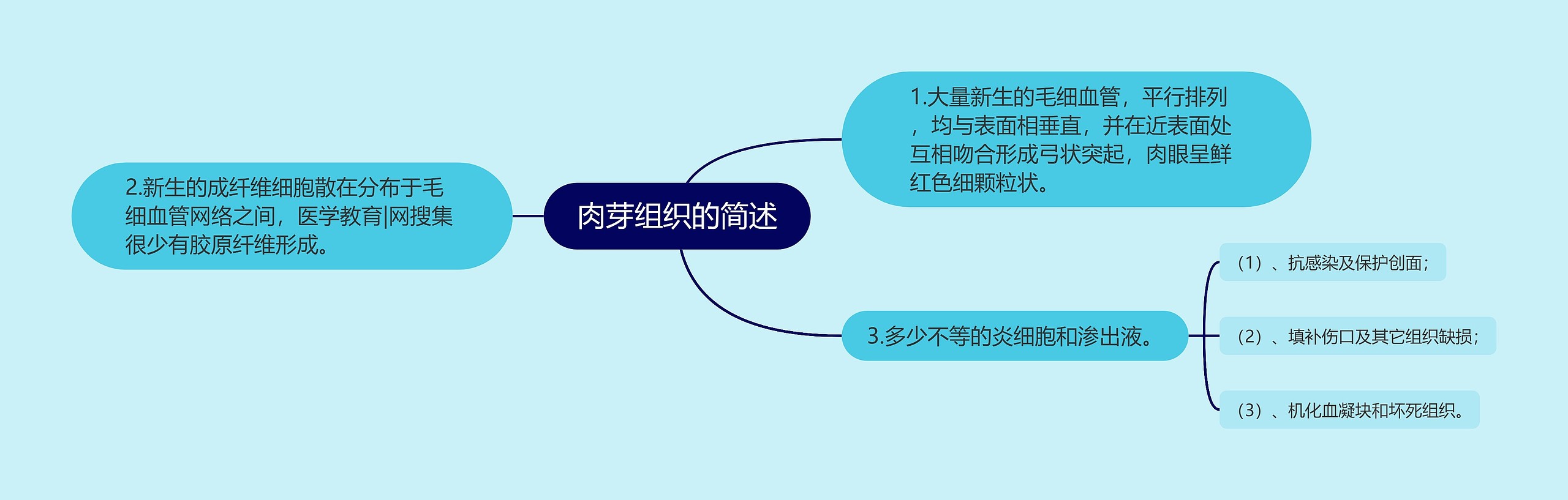 肉芽组织的简述思维导图