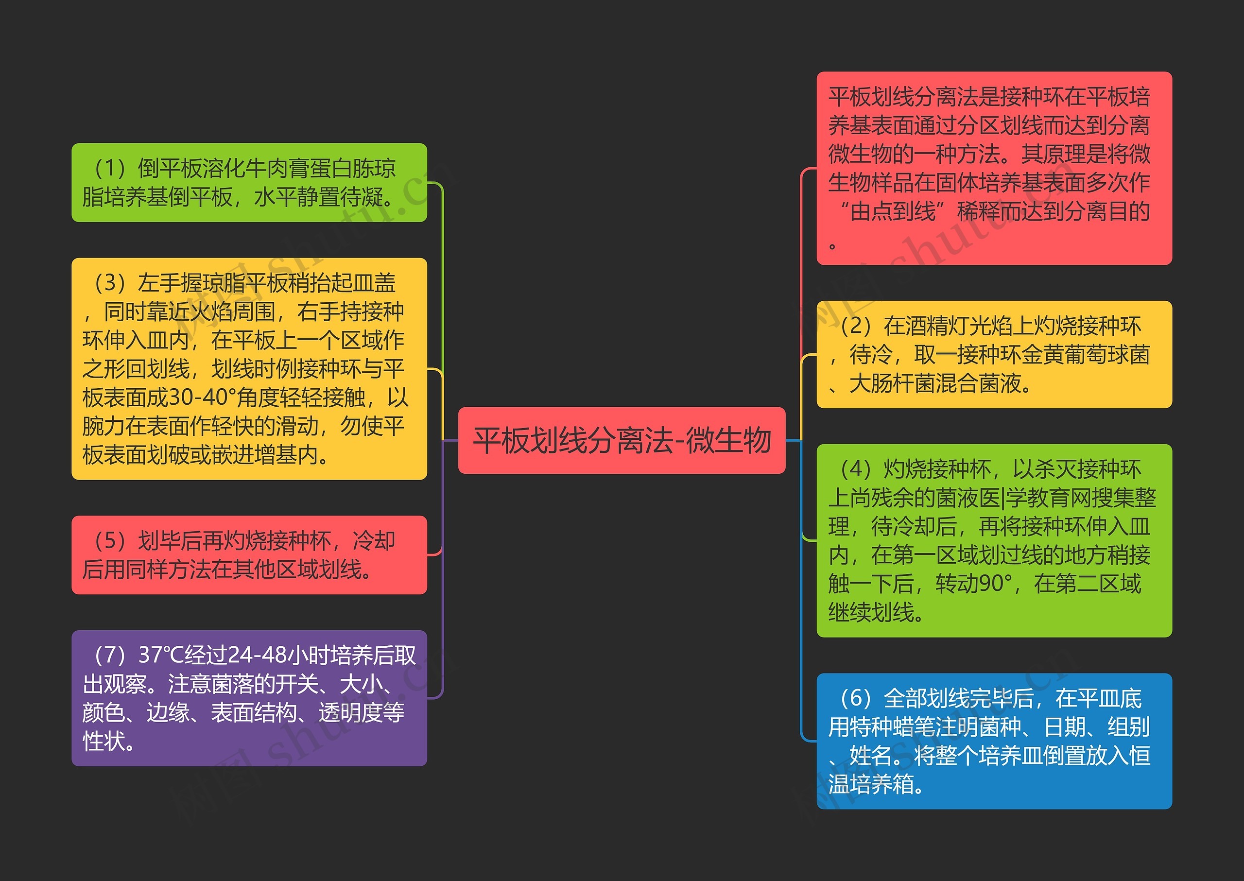 平板划线分离法-微生物思维导图