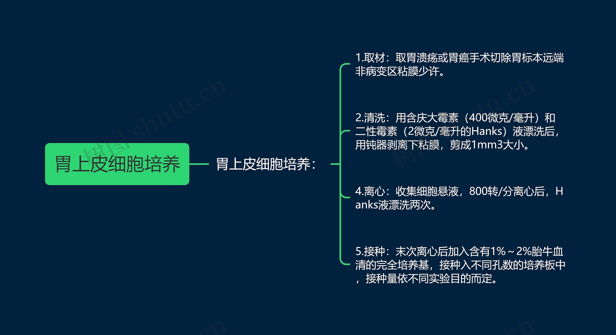 胃上皮细胞培养思维导图