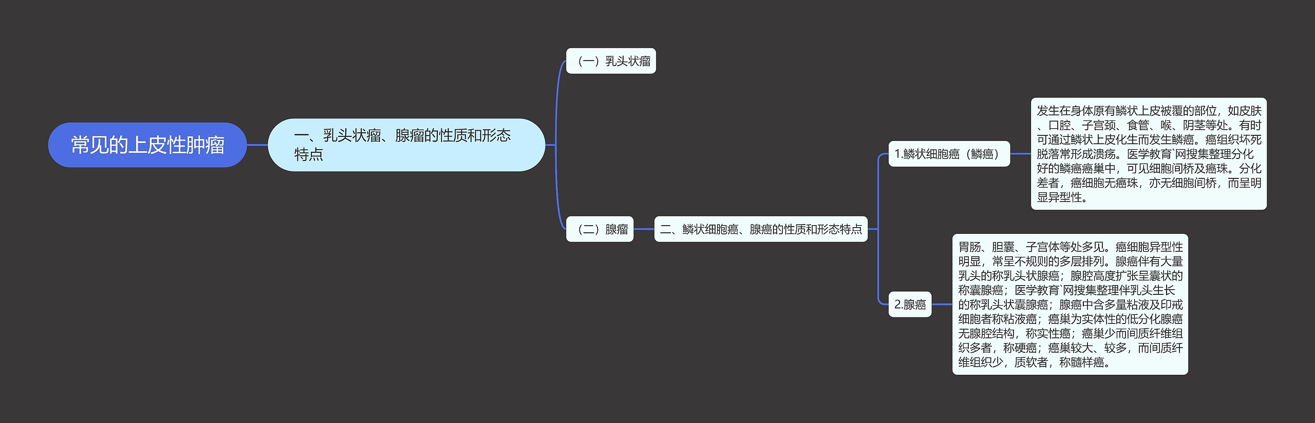 常见的上皮性肿瘤思维导图