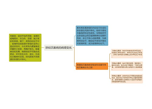 肺硅沉着病的病理变化