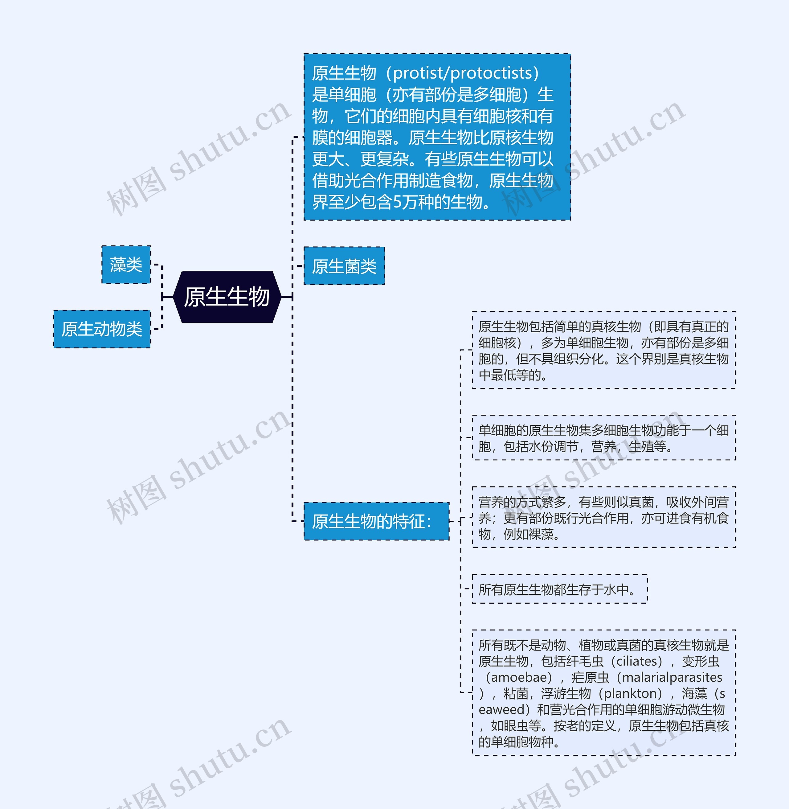 原生生物思维导图