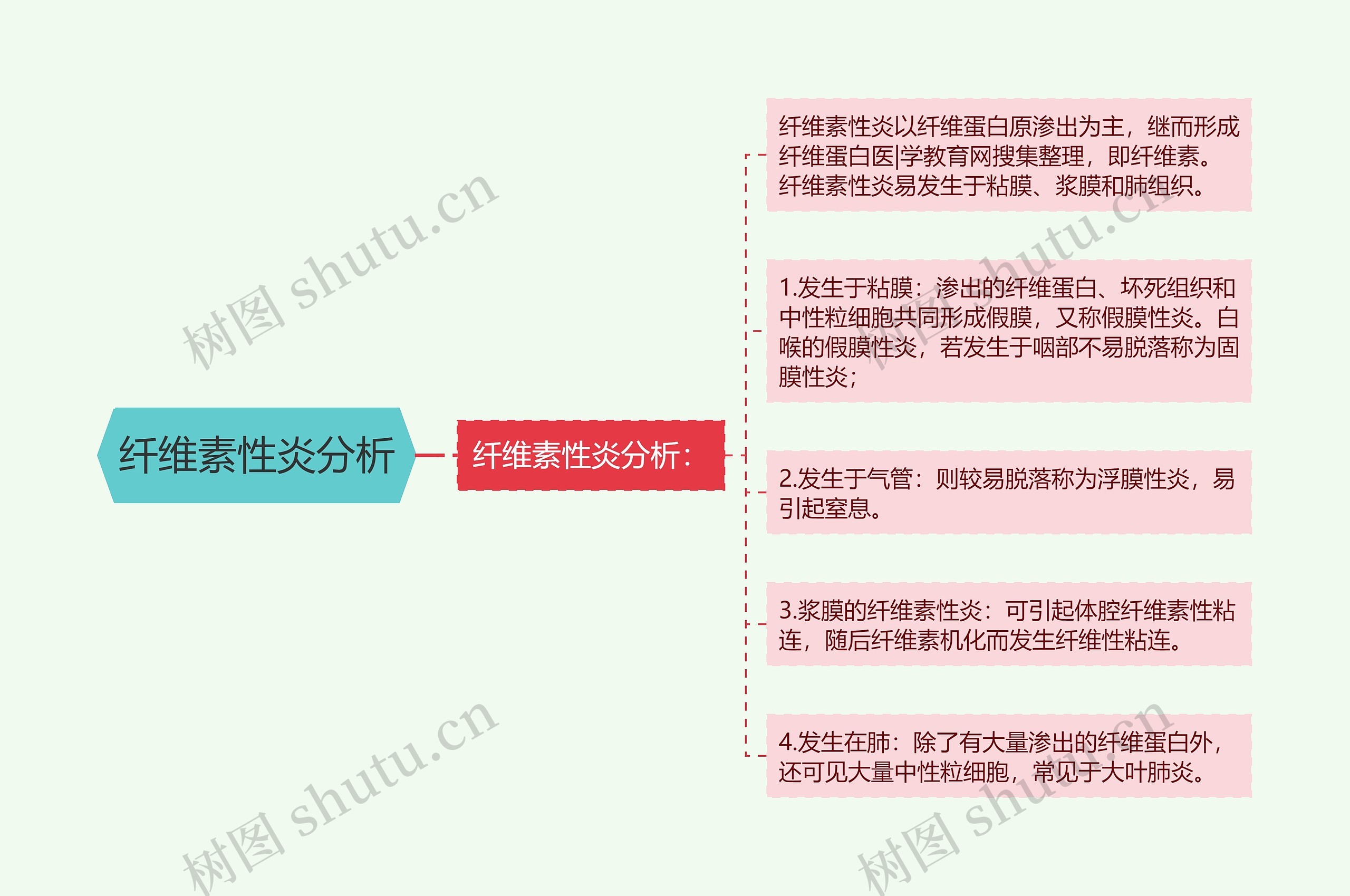 纤维素性炎分析思维导图