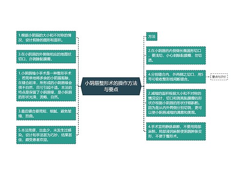 小阴唇整形术的操作方法与要点