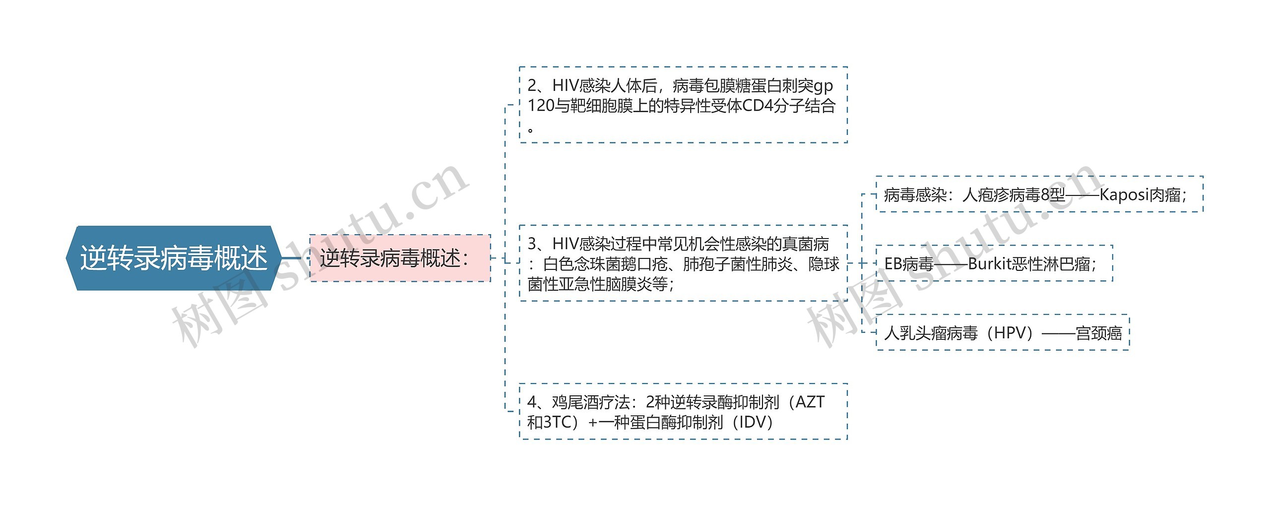 逆转录病毒概述