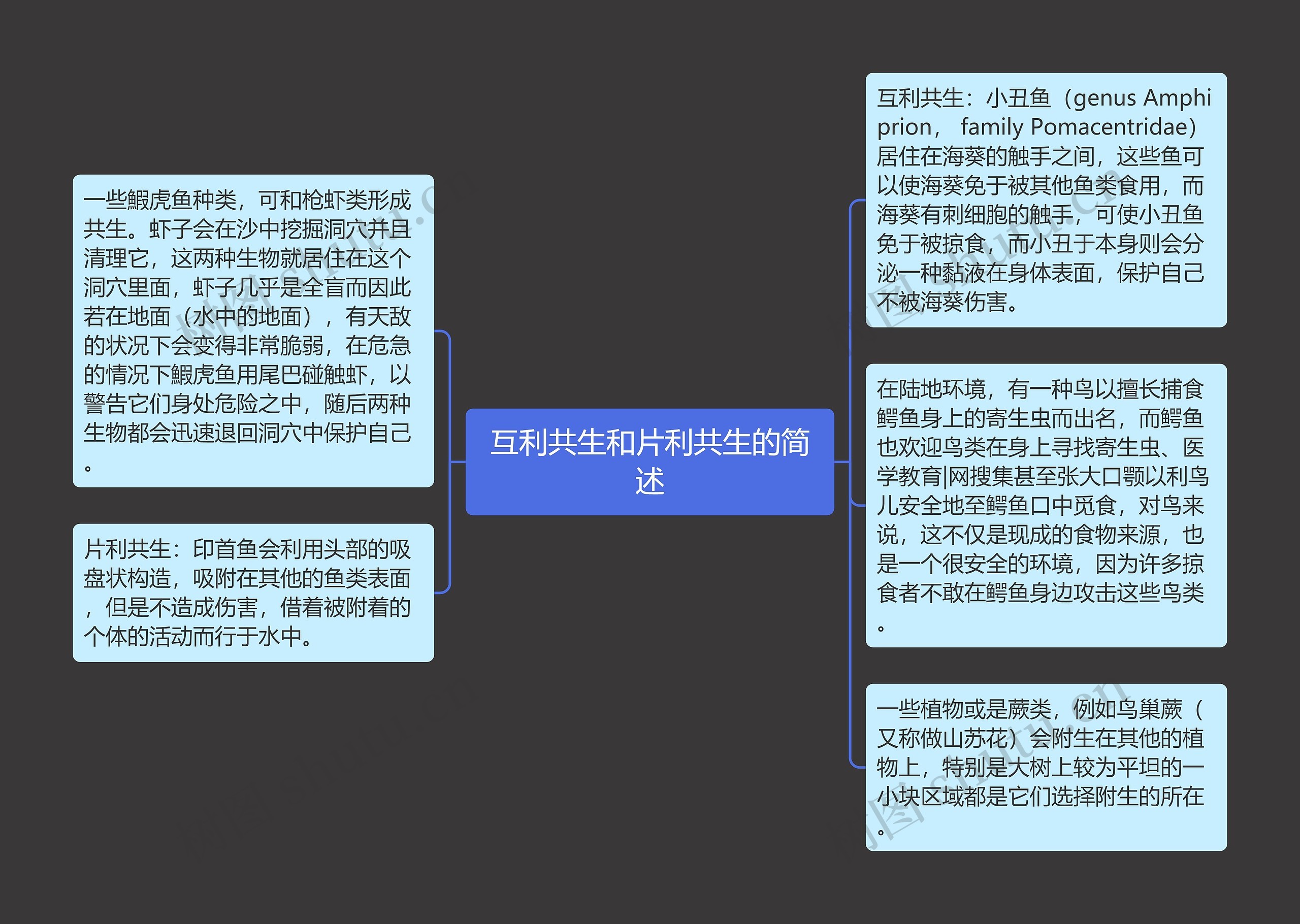 互利共生和片利共生的简述 互利共生和片利共生的简述