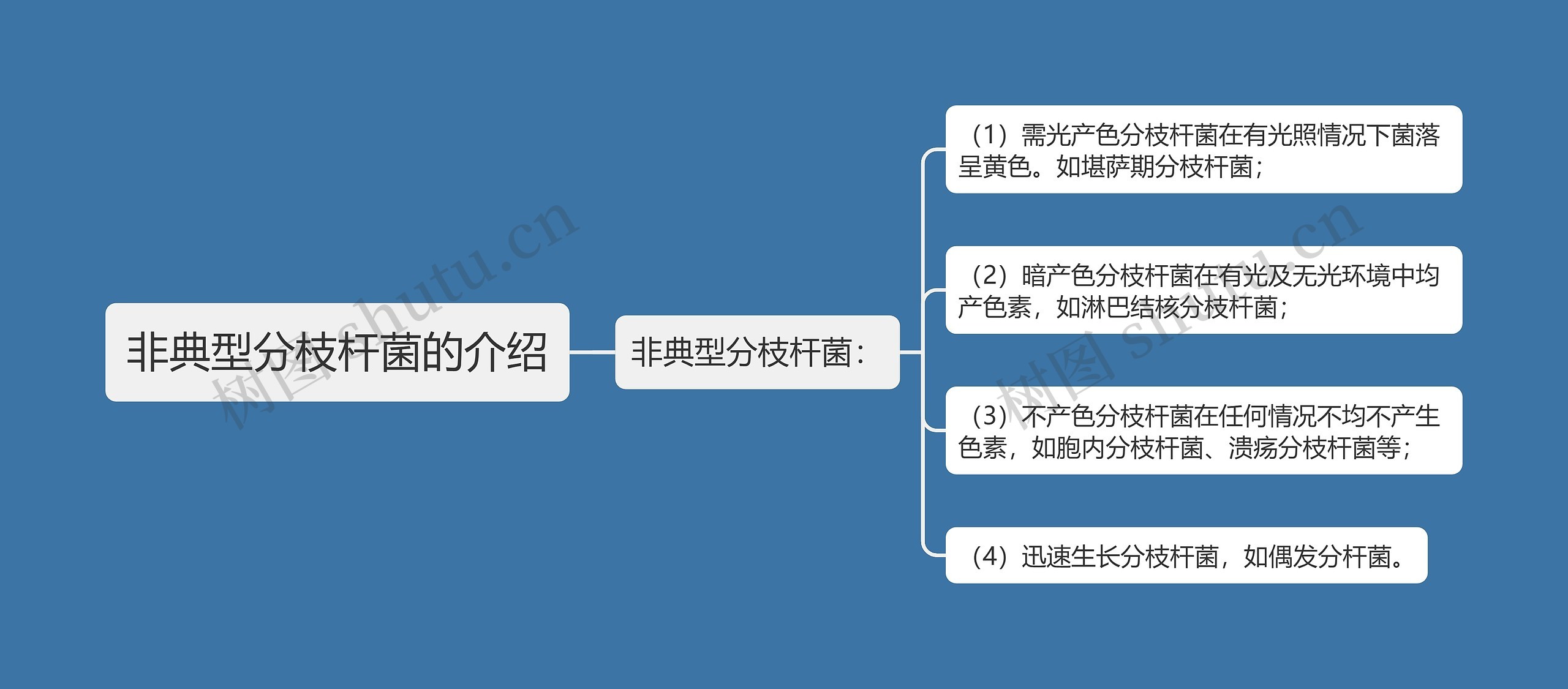 非典型分枝杆菌的介绍