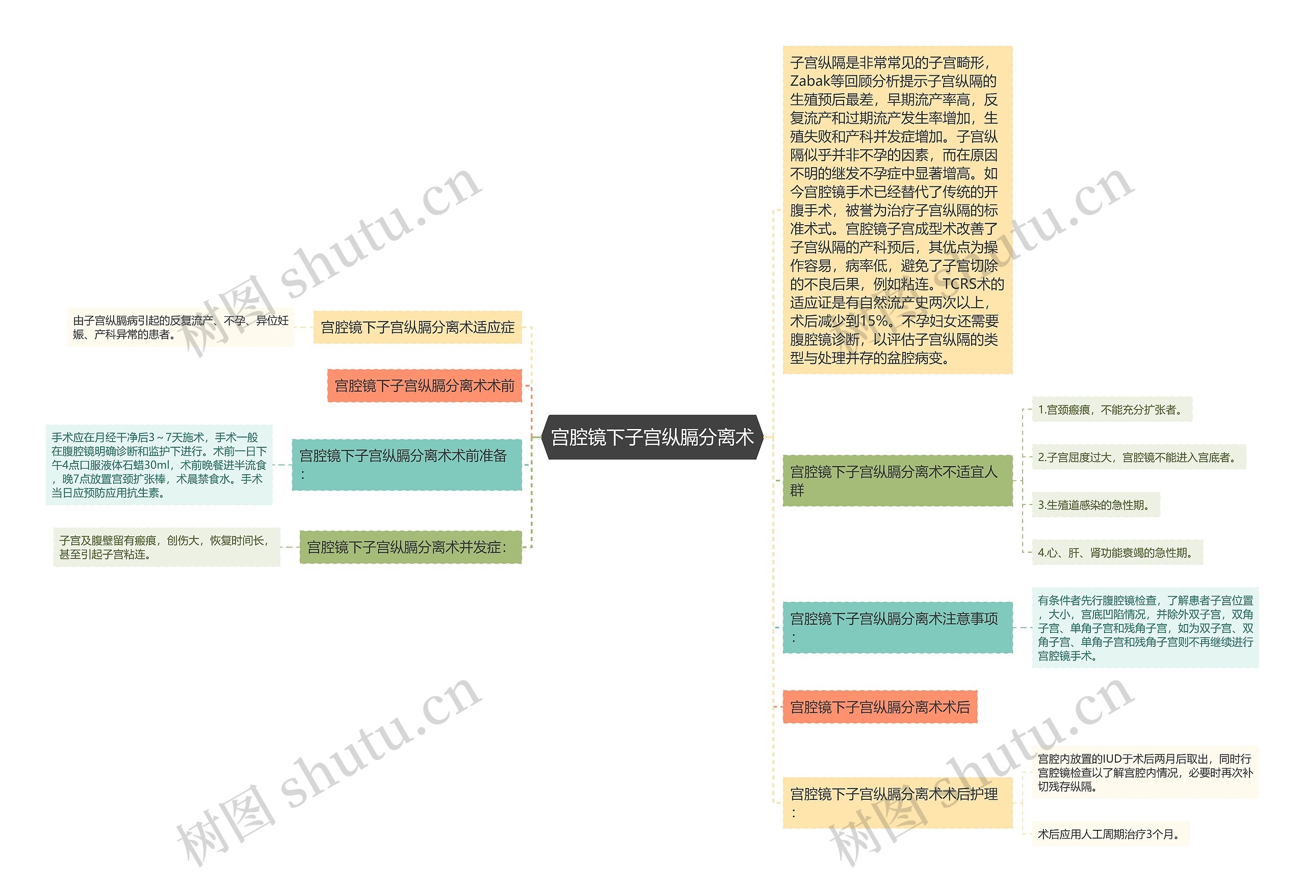 宫腔镜下子宫纵膈分离术思维导图