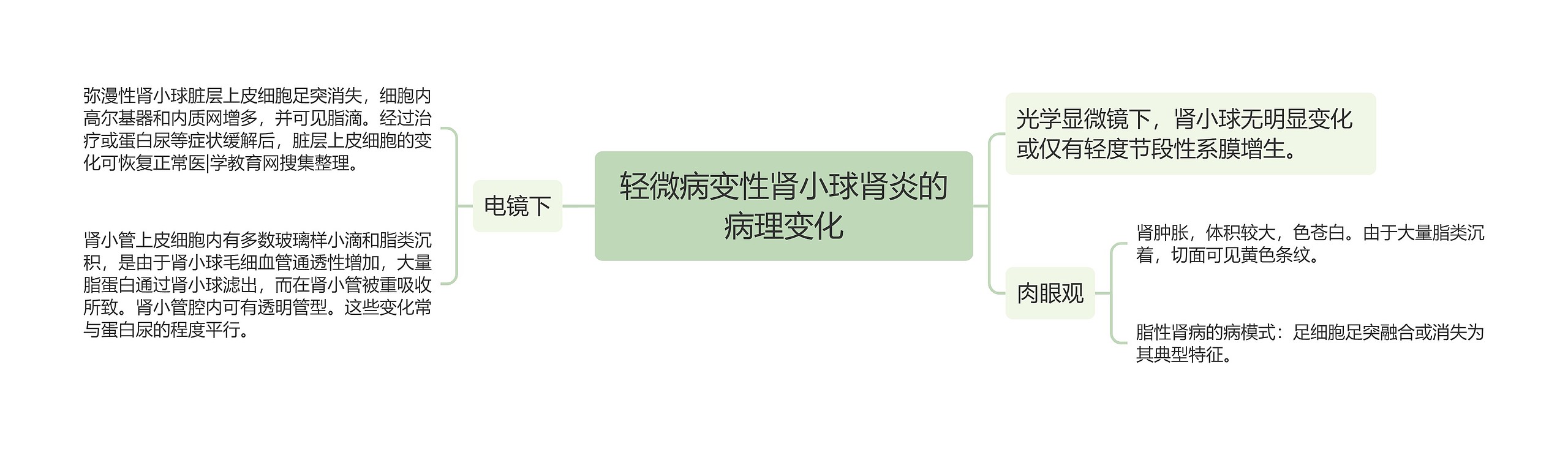 轻微病变性肾小球肾炎的病理变化 轻微病变性肾小球肾炎的病理变化