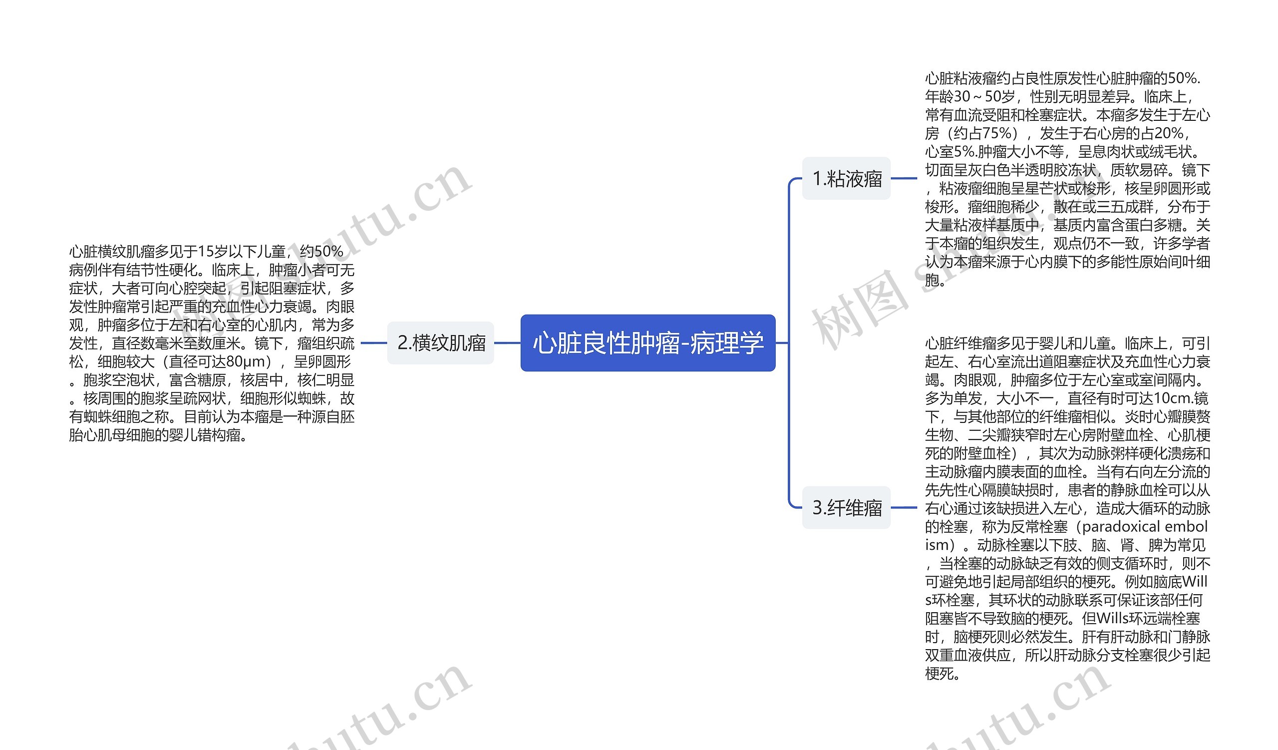 心脏良性肿瘤-病理学思维导图