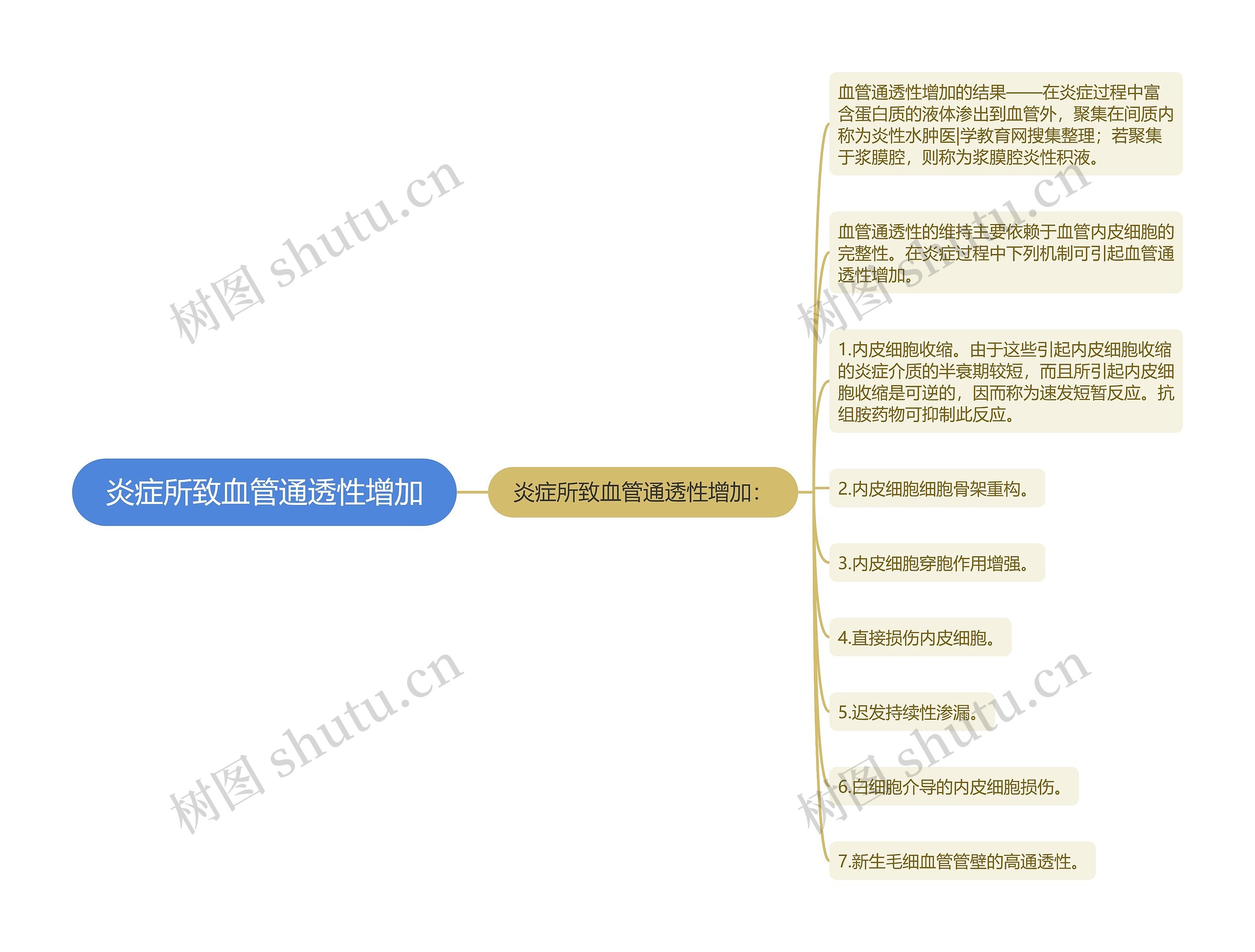 炎症所致血管通透性增加