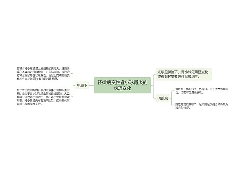 轻微病变性肾小球肾炎的病理变化